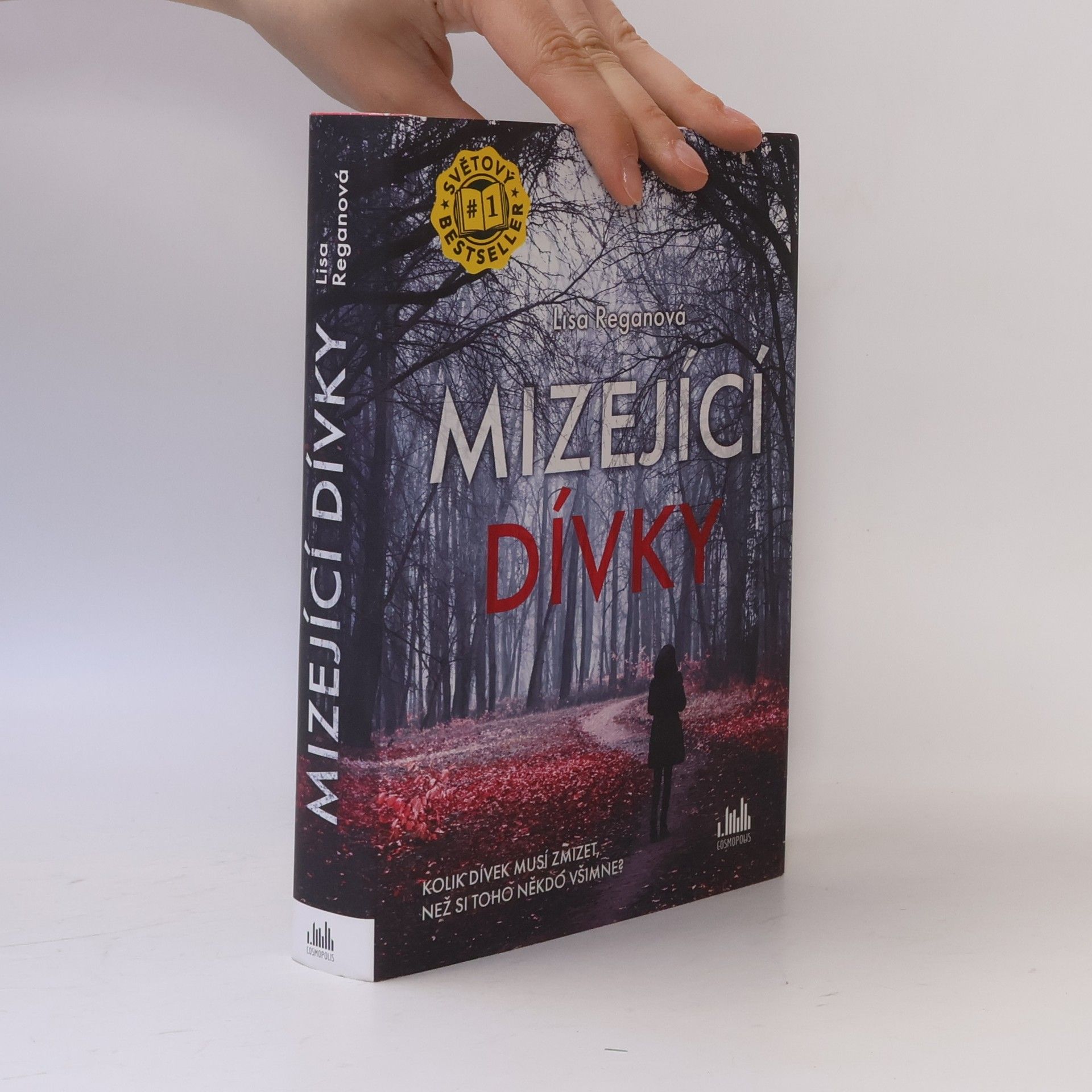 Lisa Regan Mizející dívky