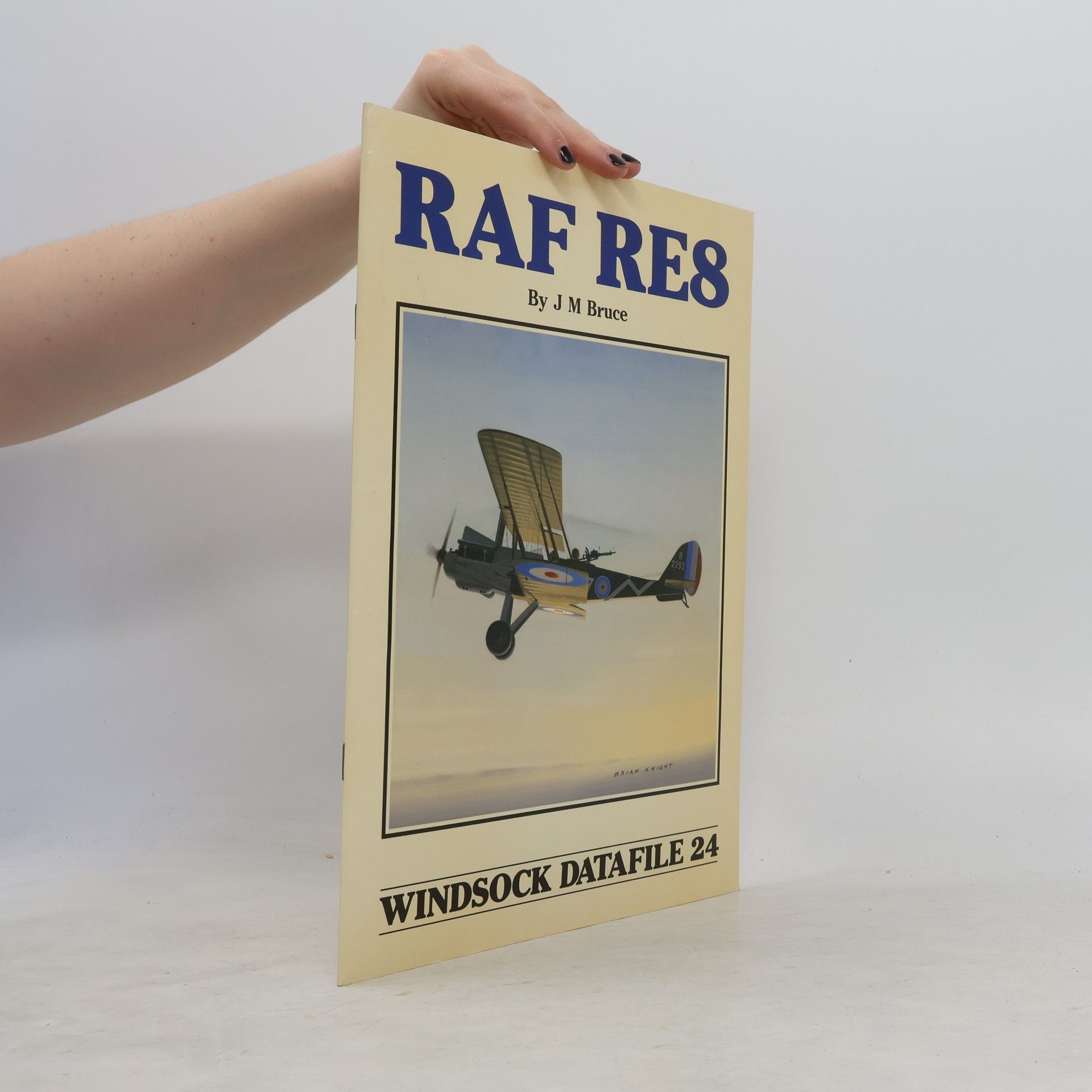 RAF RE8
