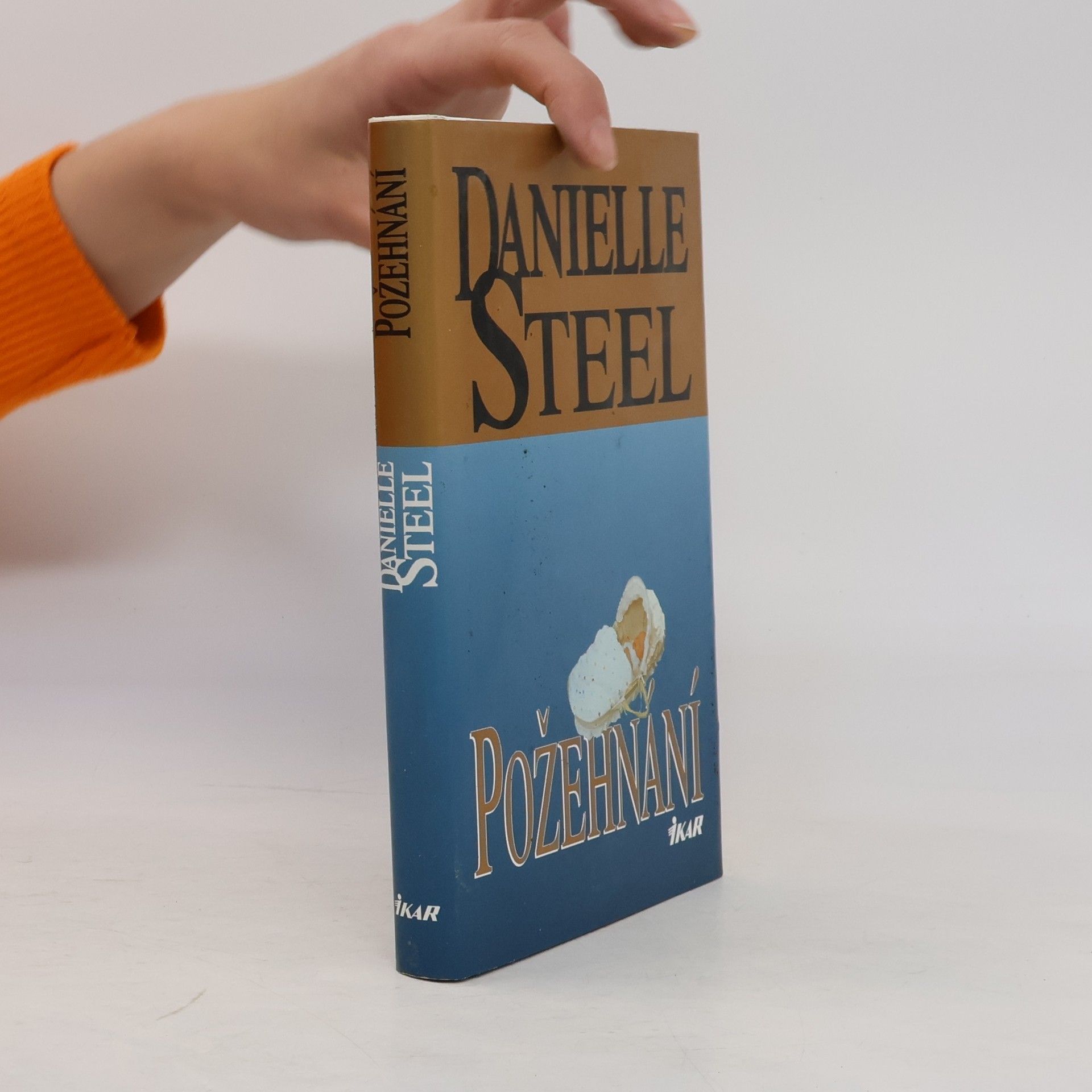Danielle Steel Požehnání