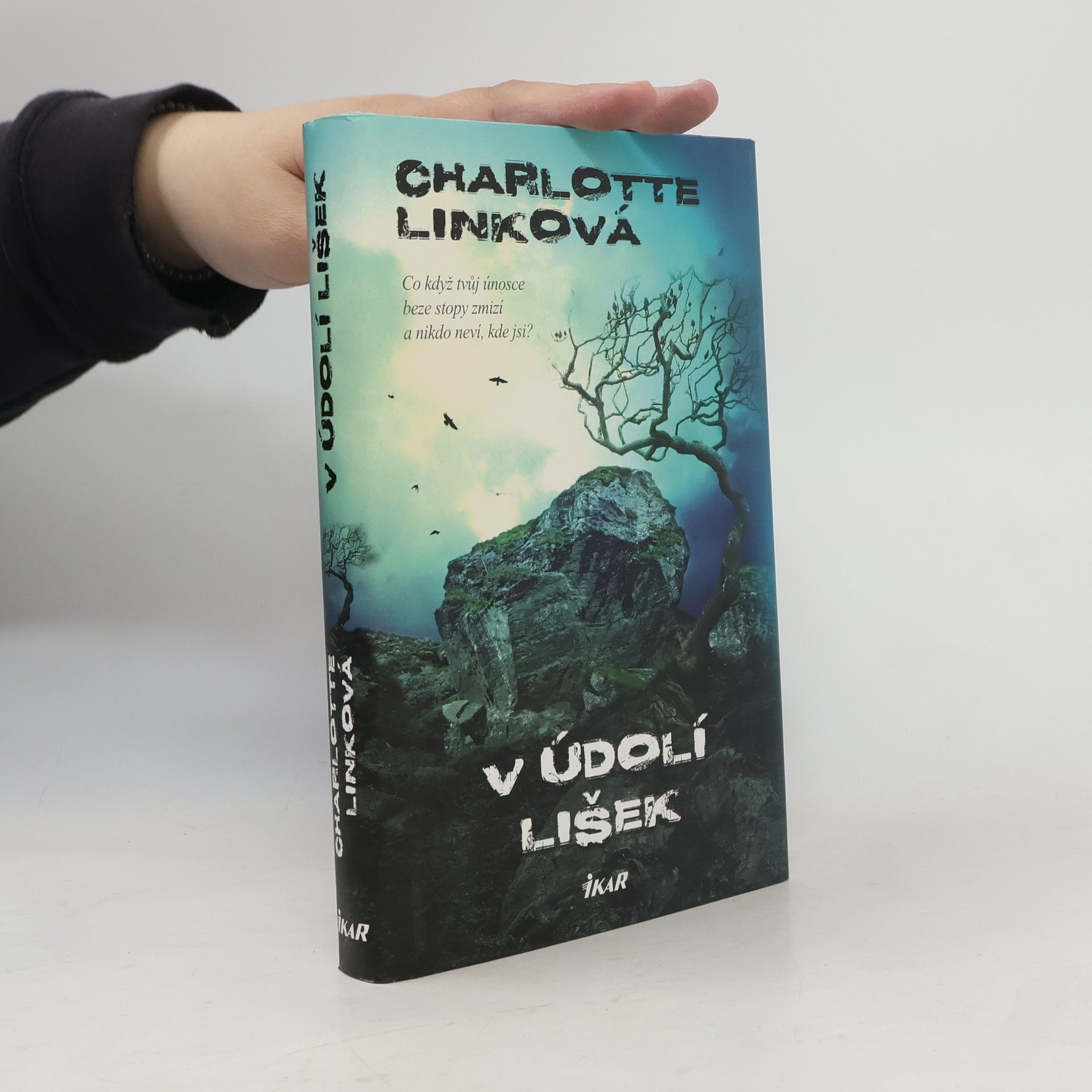 Charlotte Link V údolí lišek
