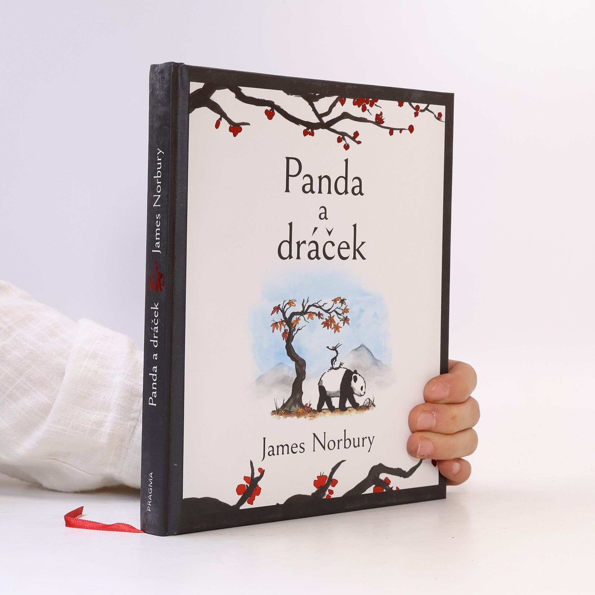 James Norbury Panda a dráček