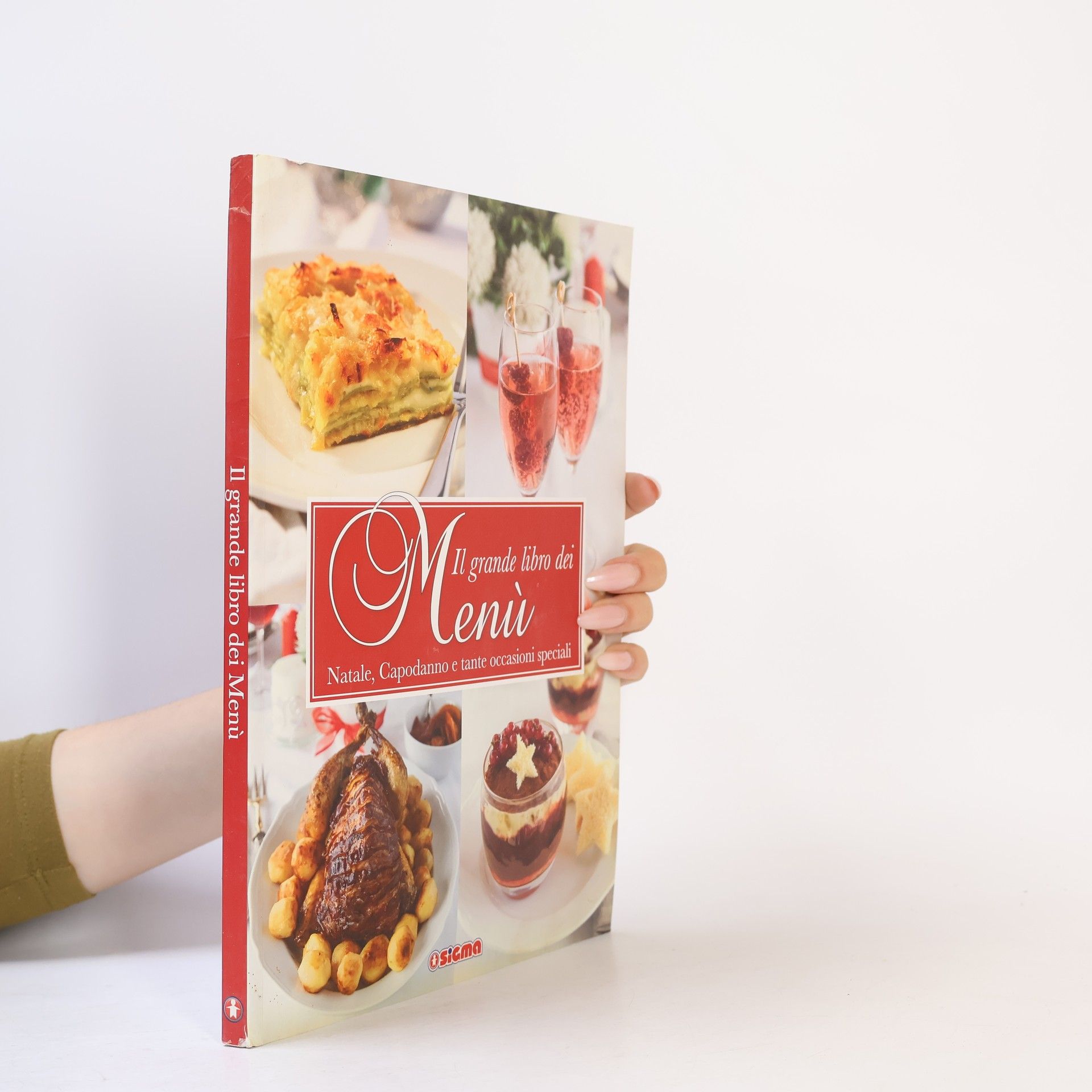 Autorenkollektiv Il grande libro dei menù. Natale, compleanni, matrimoni e party
