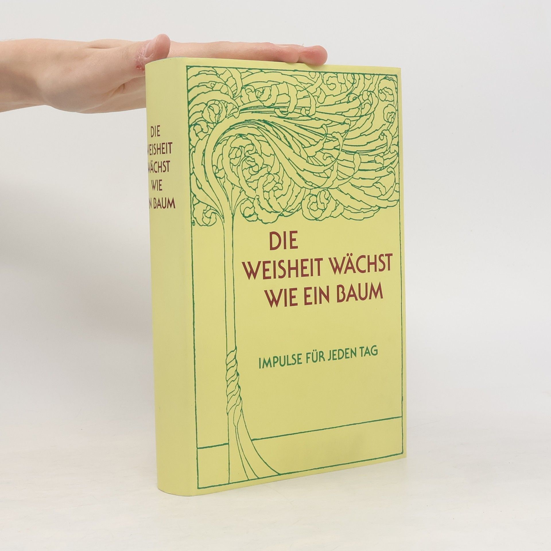 Michael Kaiser Die Weisheit wächst wie ein Baum