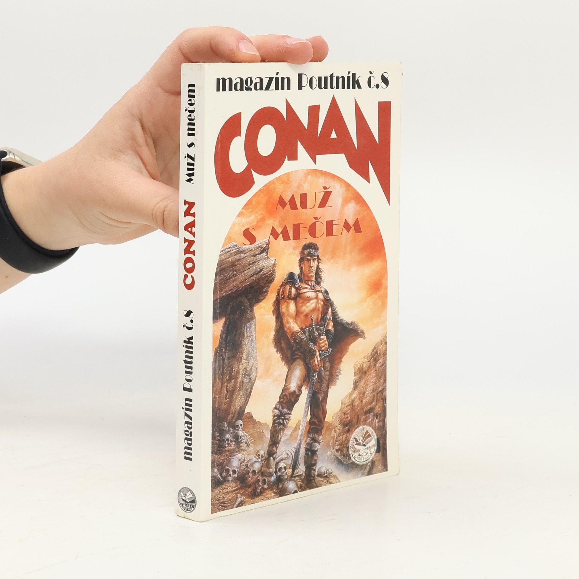 Luis Royo Conan : muž s mečem