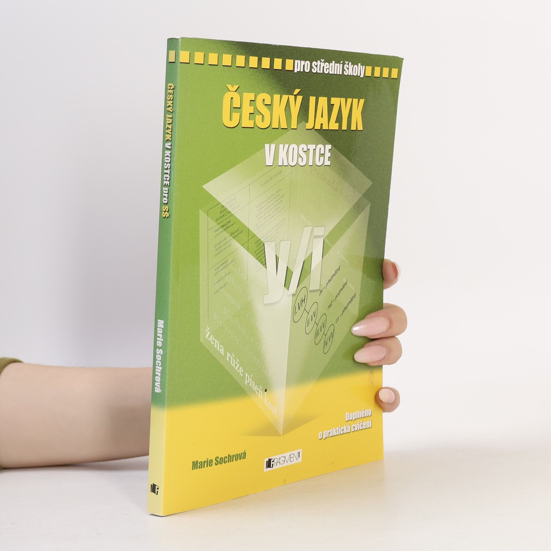 Marie Sochrová Český jazyk v kostce : pro střední školy