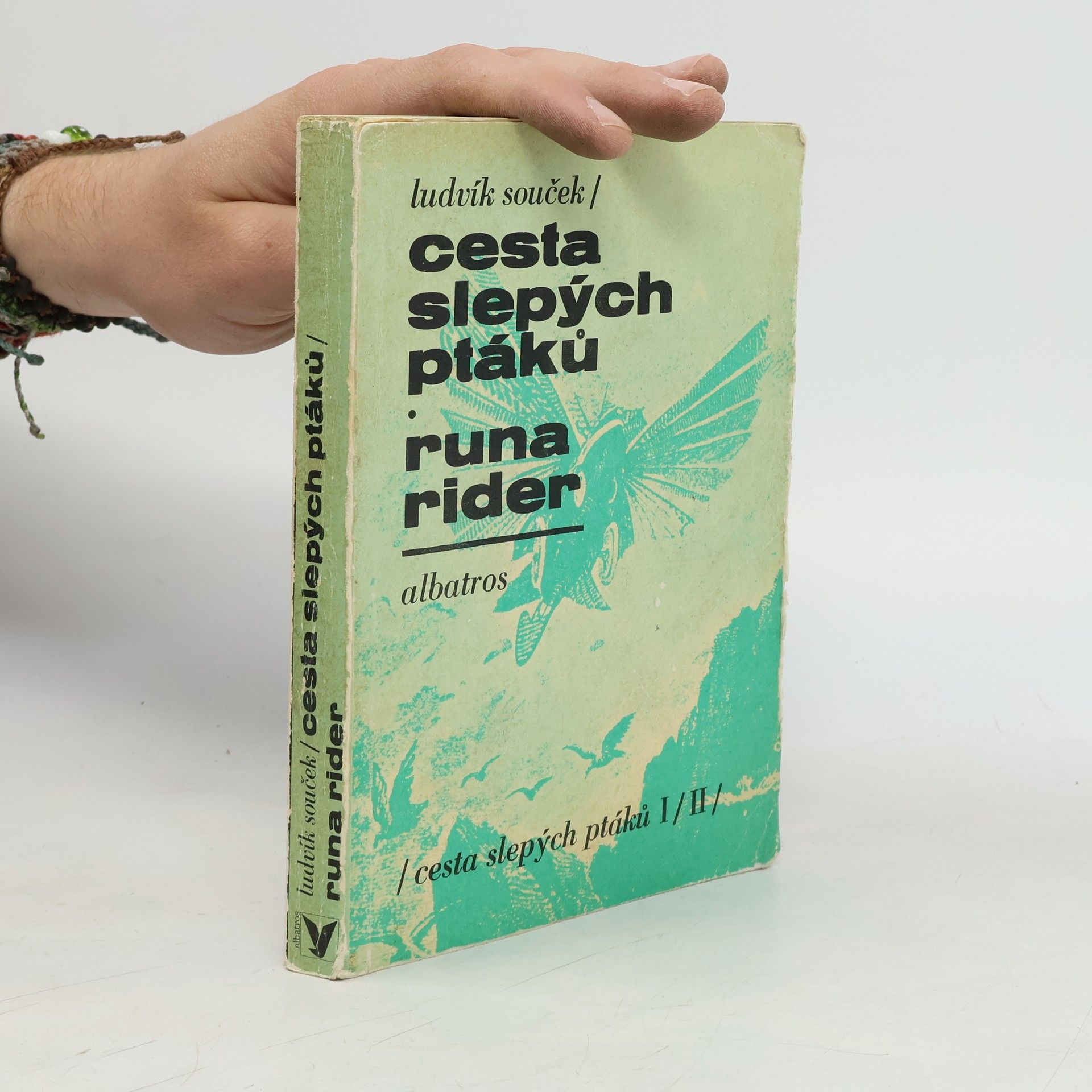 Ludvík Souček Cesta slepých ptáků. Runa rider