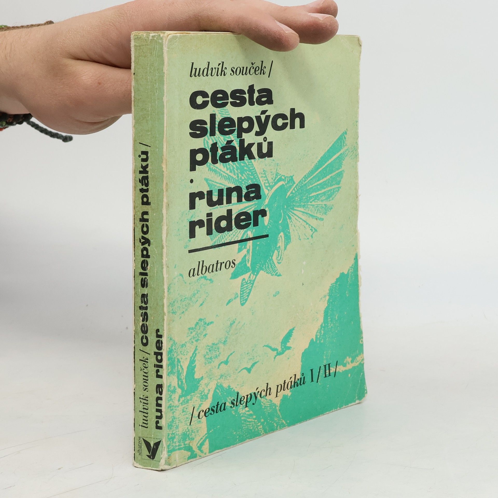 Ludvík Souček Cesta slepých ptáků. Runa rider