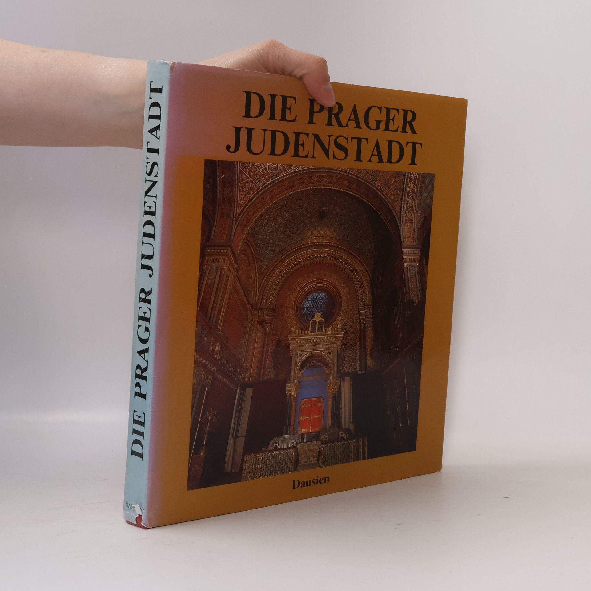 Pavel Štecha Die Prager Judenstadt