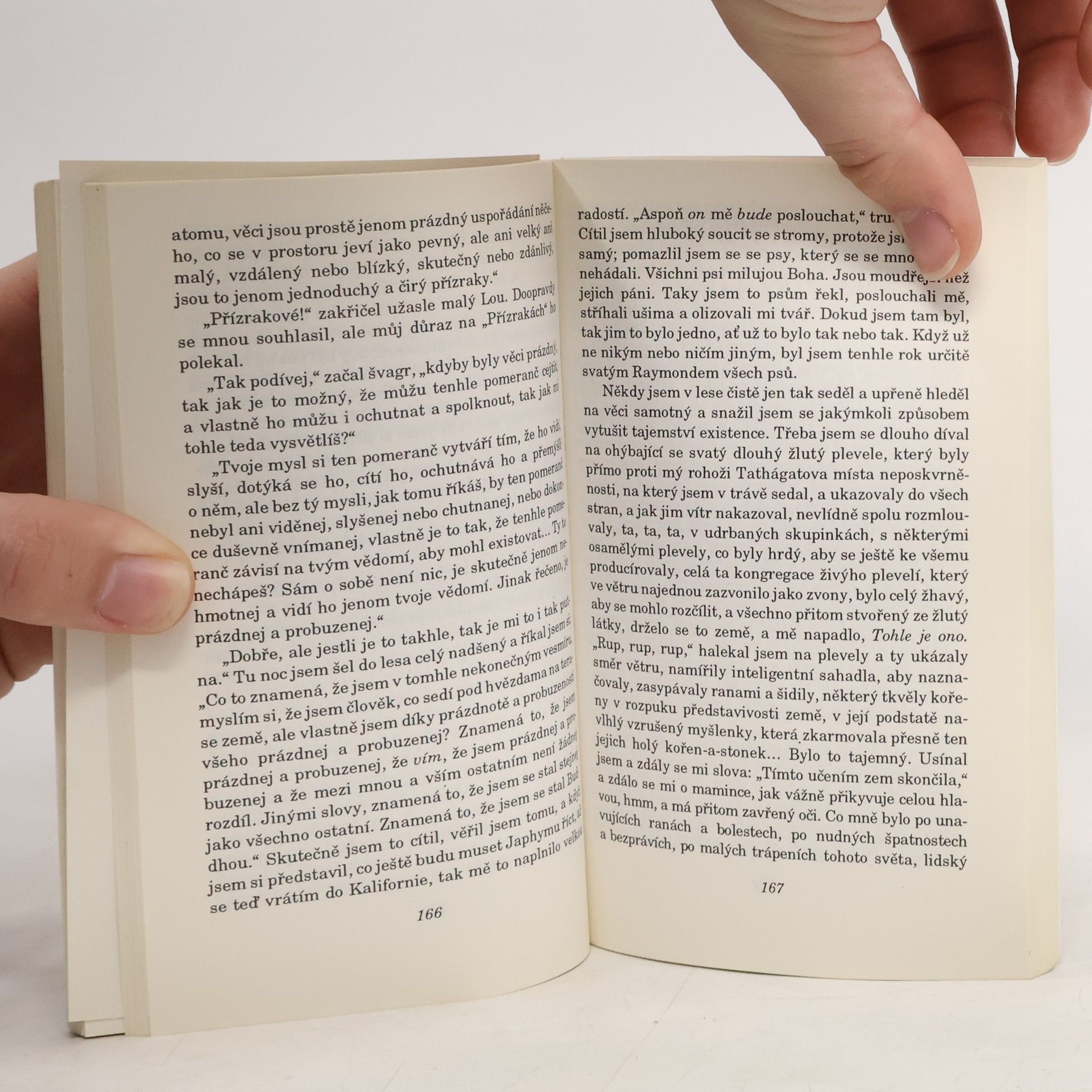Jack Kerouac Dharmoví tuláci