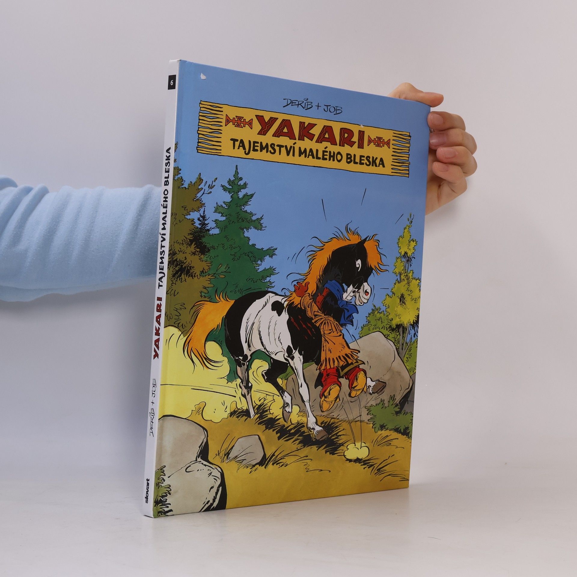 Derib Yakari: Tajemství Malého bleska