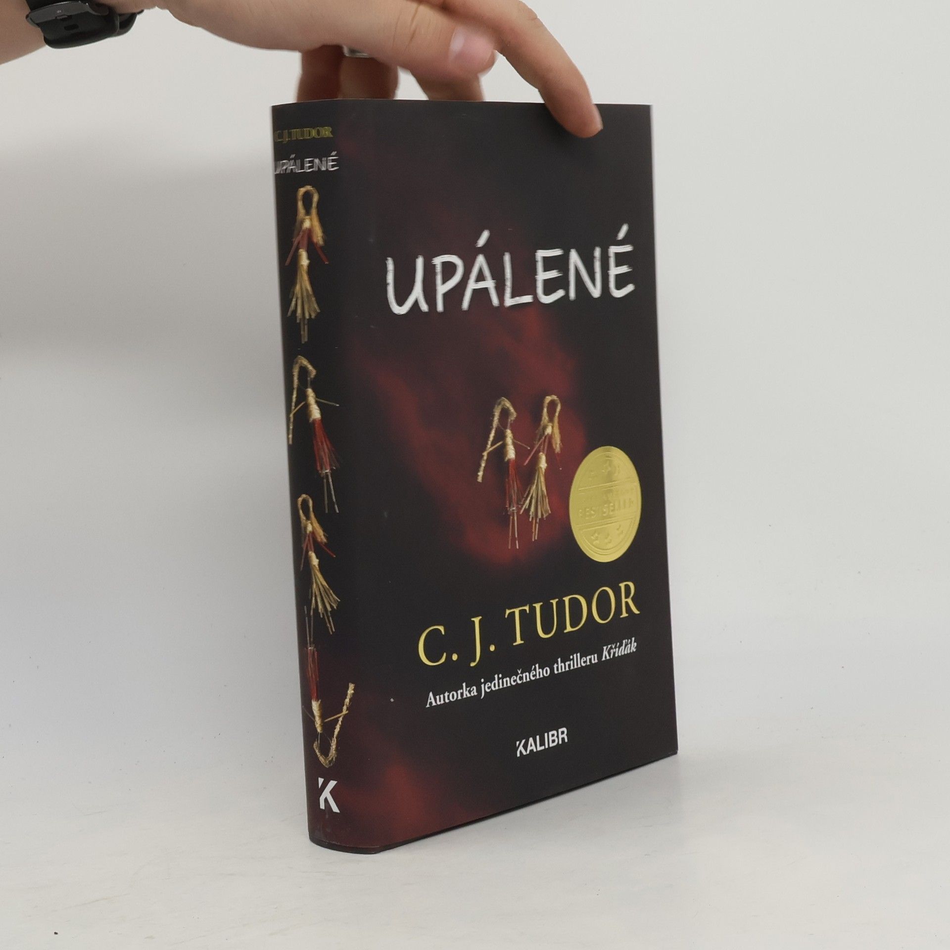 C. J. Tudor Upálené