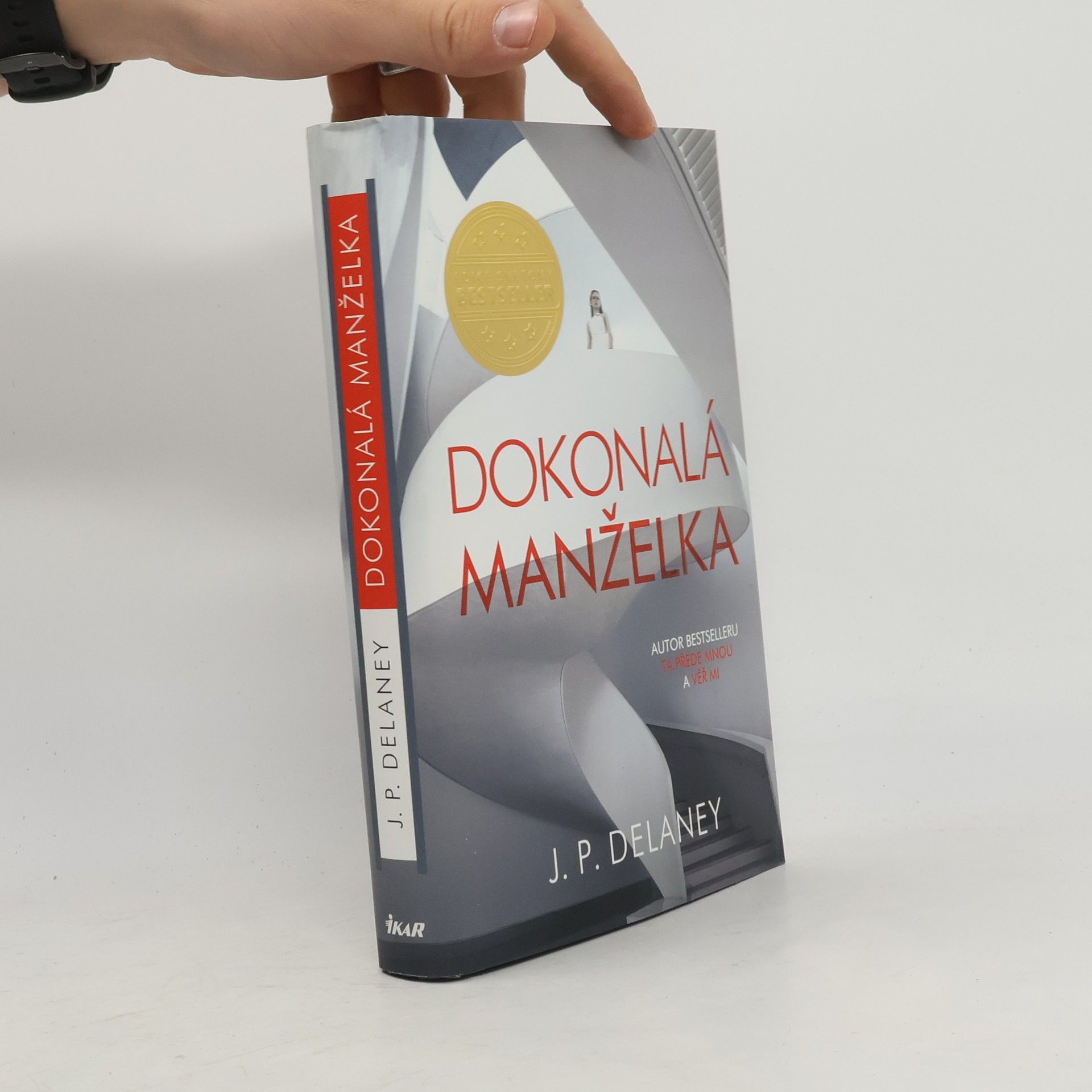 J. P. Delaney Dokonalá manželka