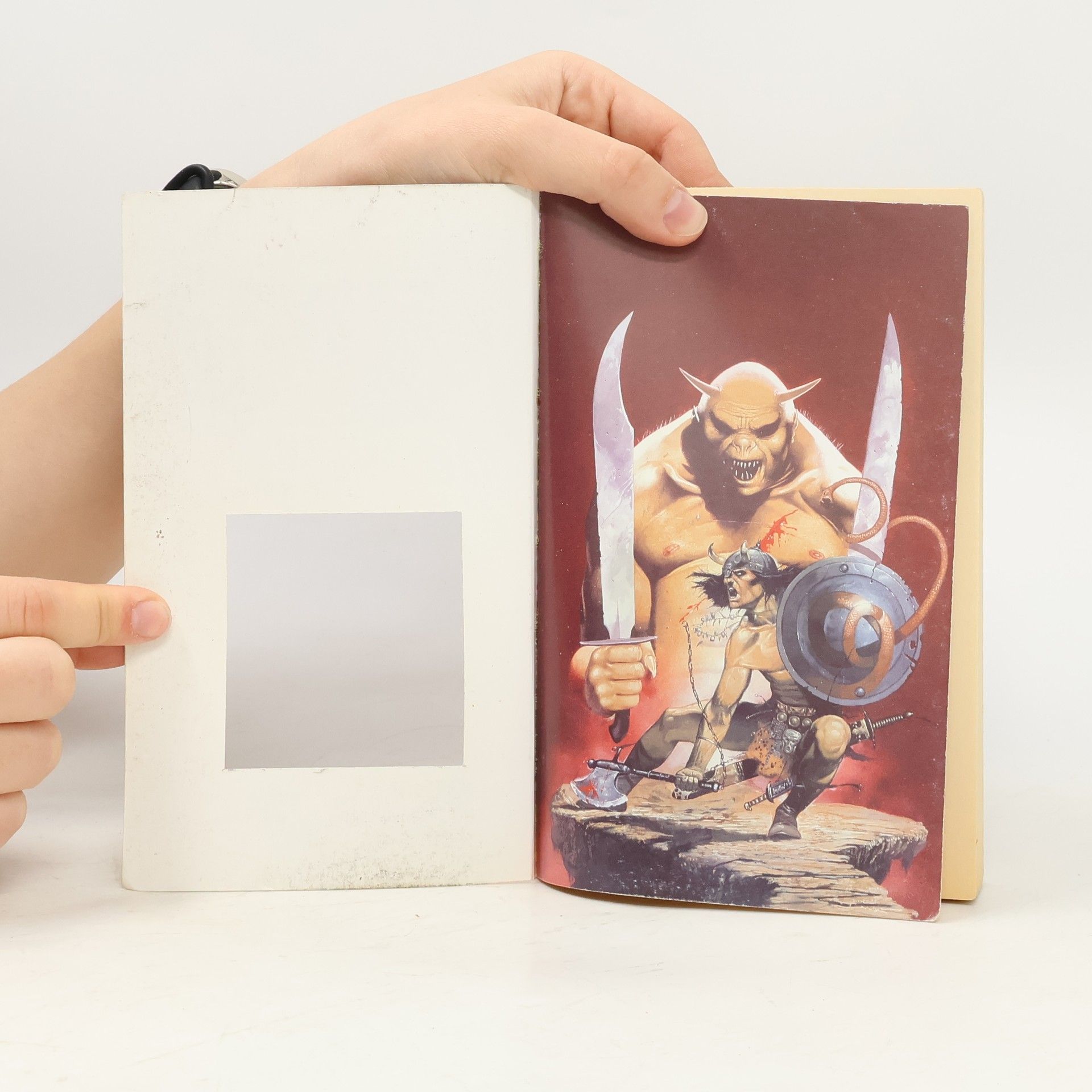 Robert Jordan Conan Ničitel