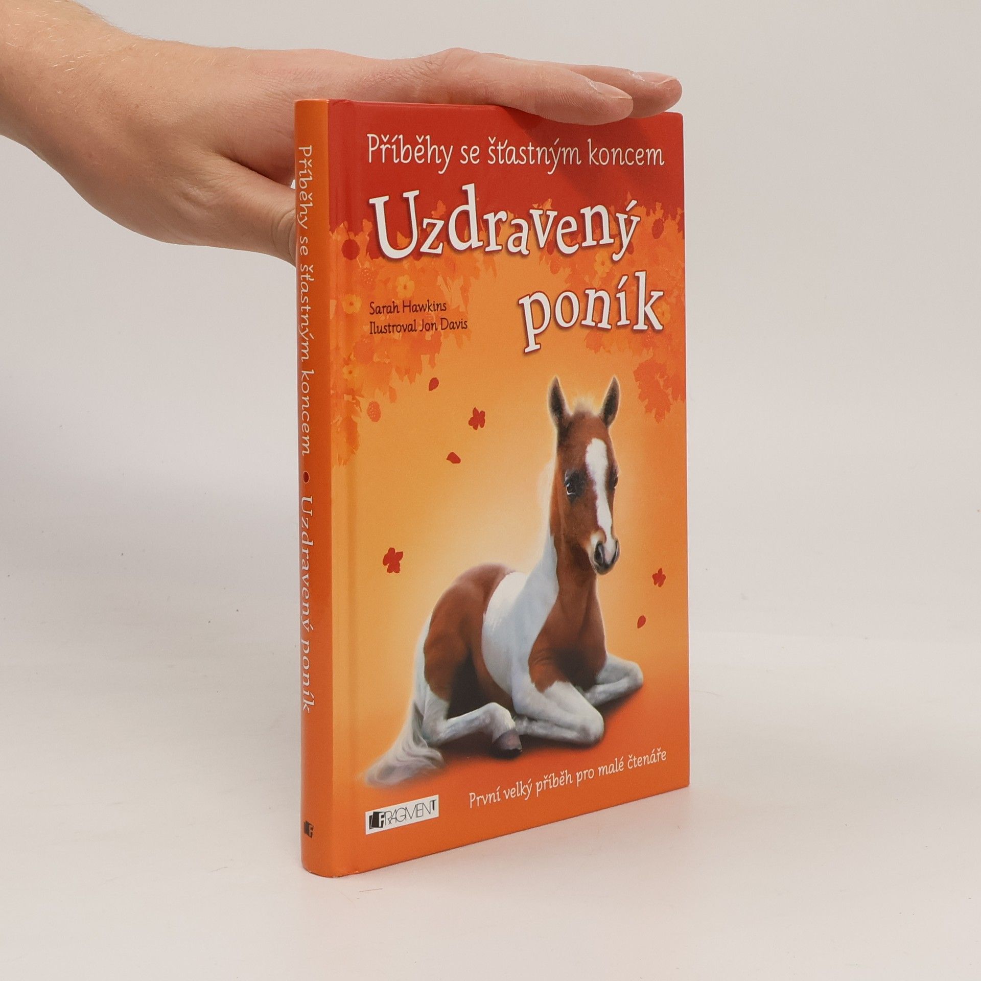 Eva Brožová Uzdravený poník