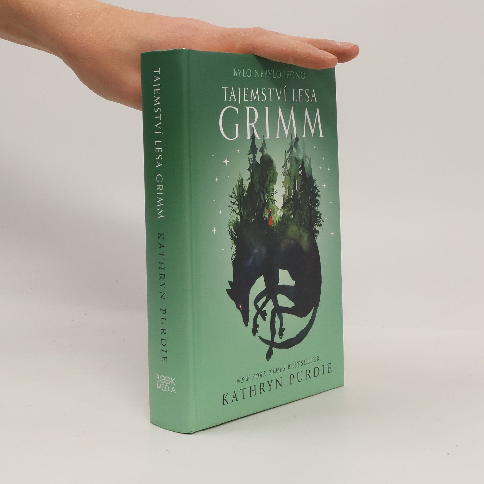 Kathryn Purdie Tajemství lesa Grimm