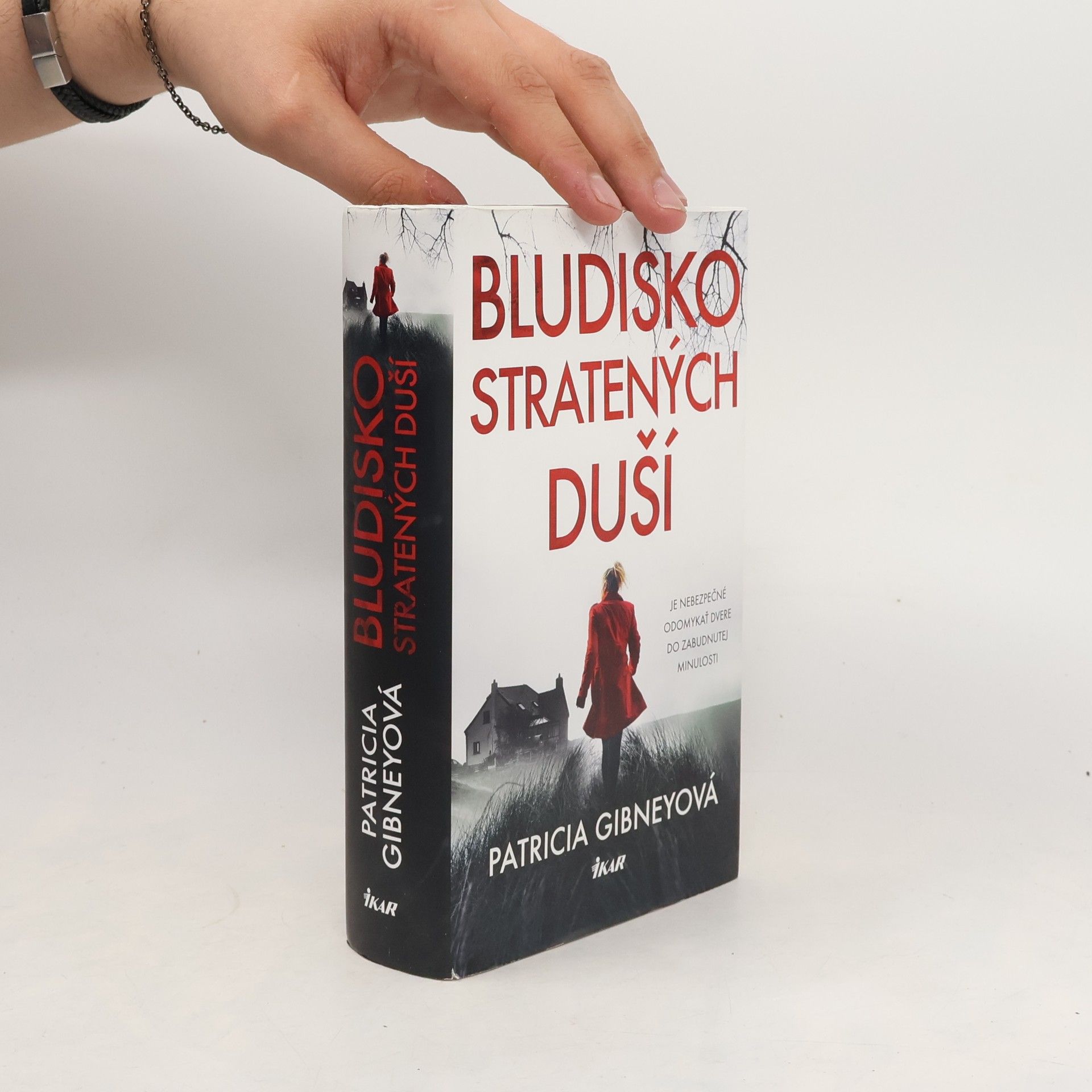 Patricia Gibney Bludisko stratených duší