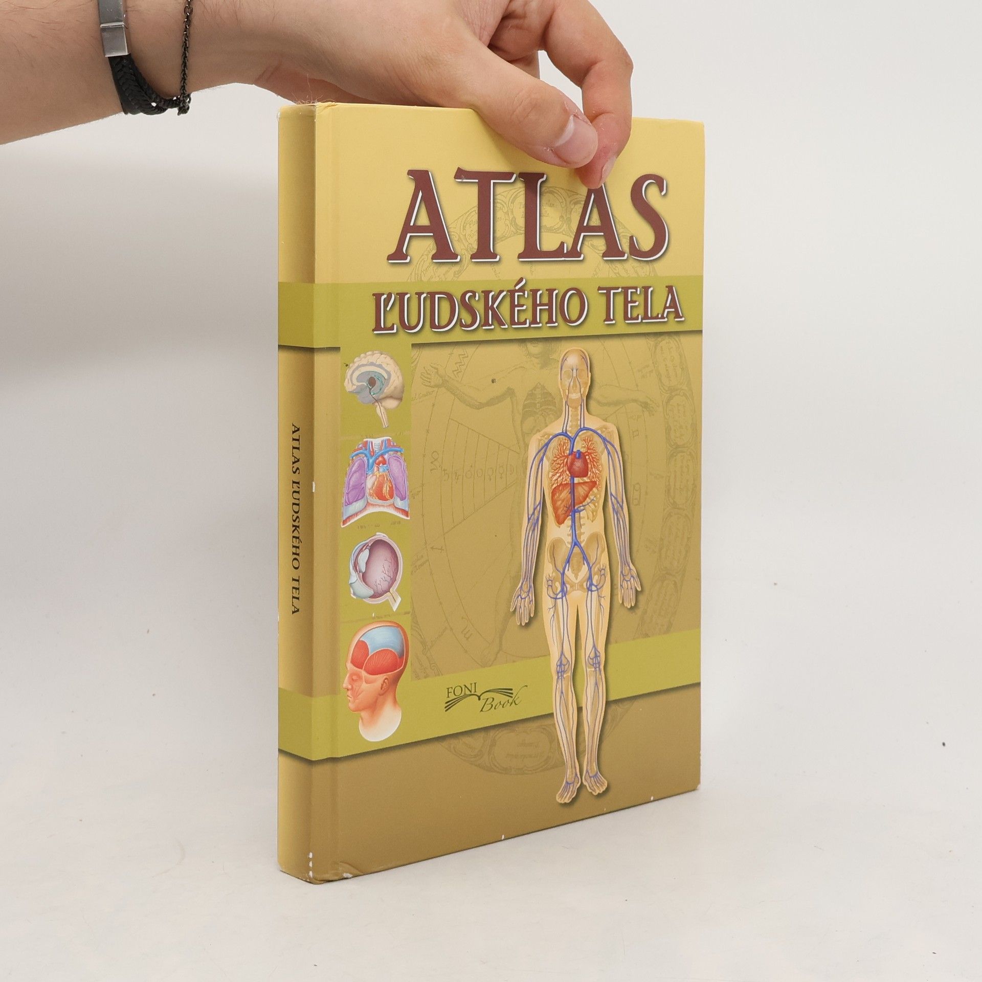 Peter Abrahams Atlas ľudského tela