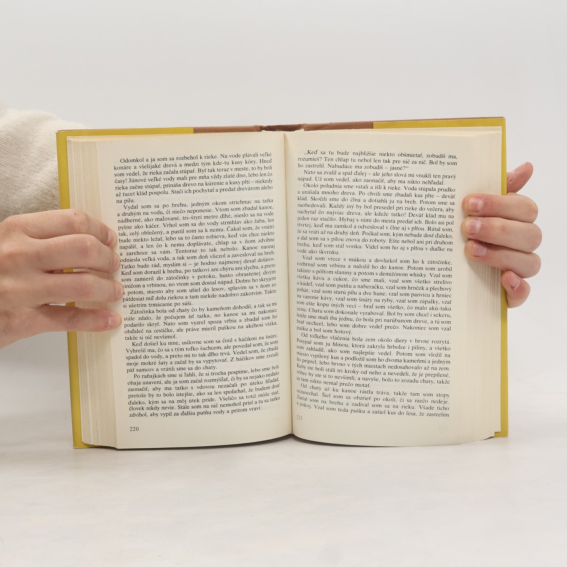 Mark Twain Dobrodružstvá Toma Sawyera, Dobrodružstvá Huckleberryho Finna (1 svazek)