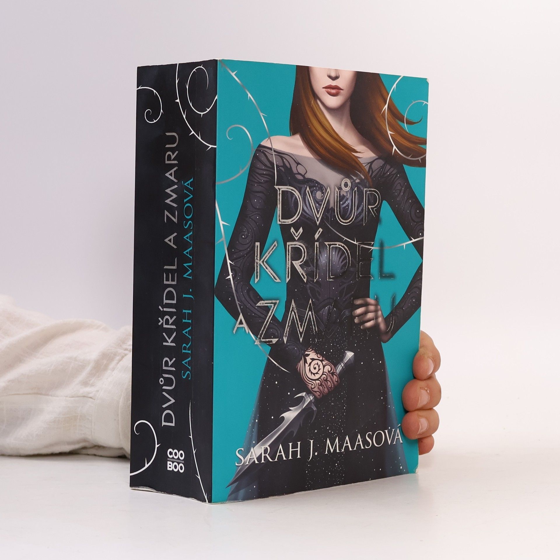 Sarah J. Maas Dvůr křídel a zmaru