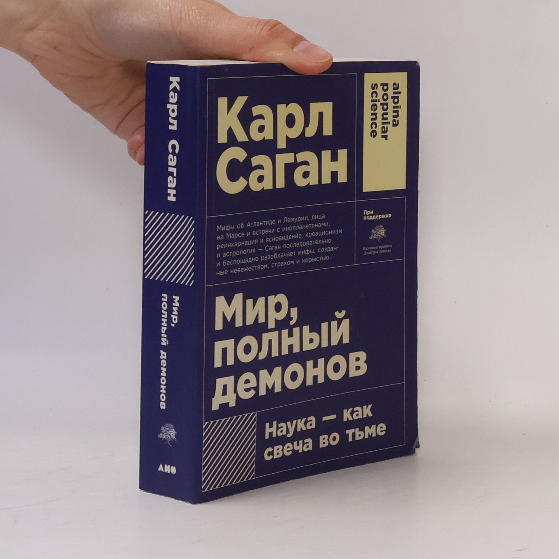 Dmitry Zimin Мир, полный демонов