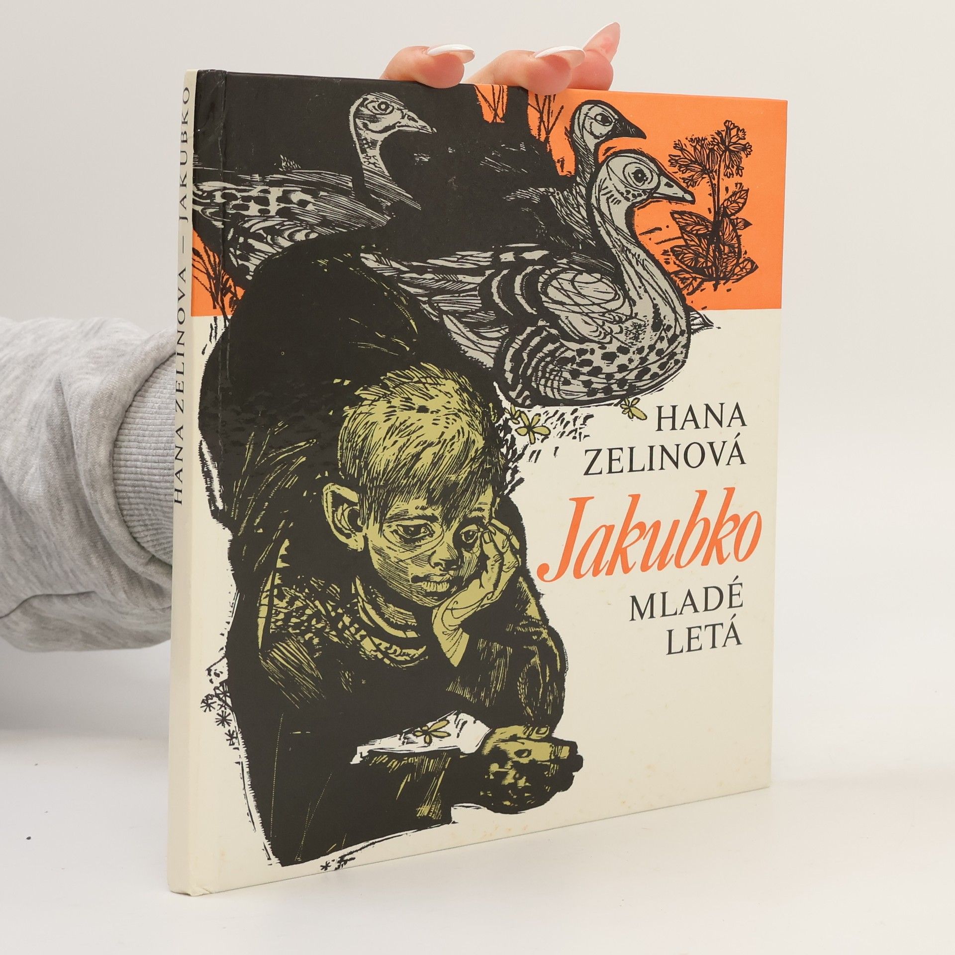 Hana Zelinová Jakubko