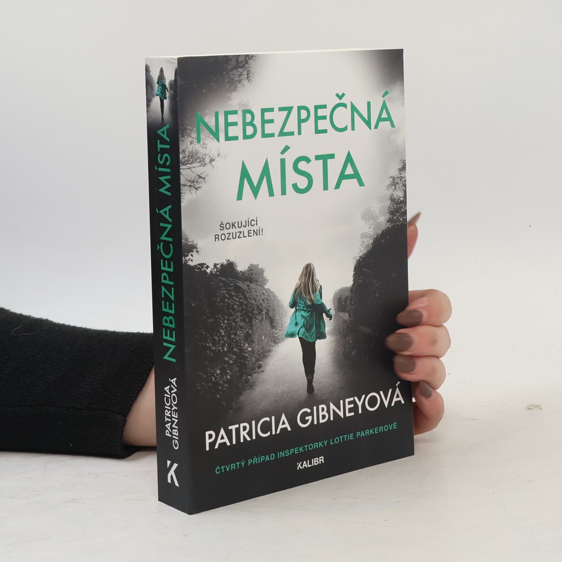Patricia Gibney Nebezpečná místa