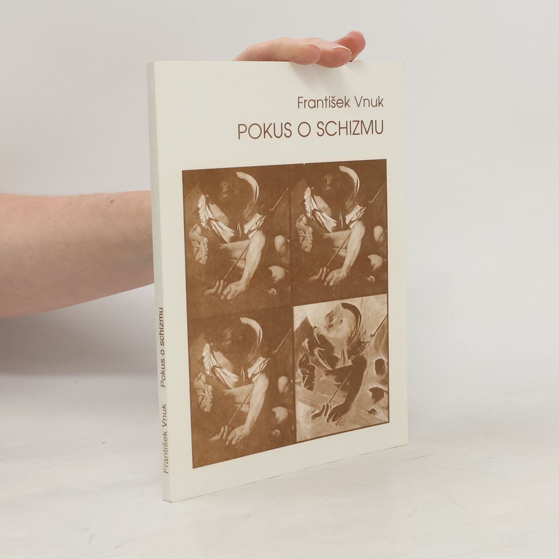 Pokus o schizmu