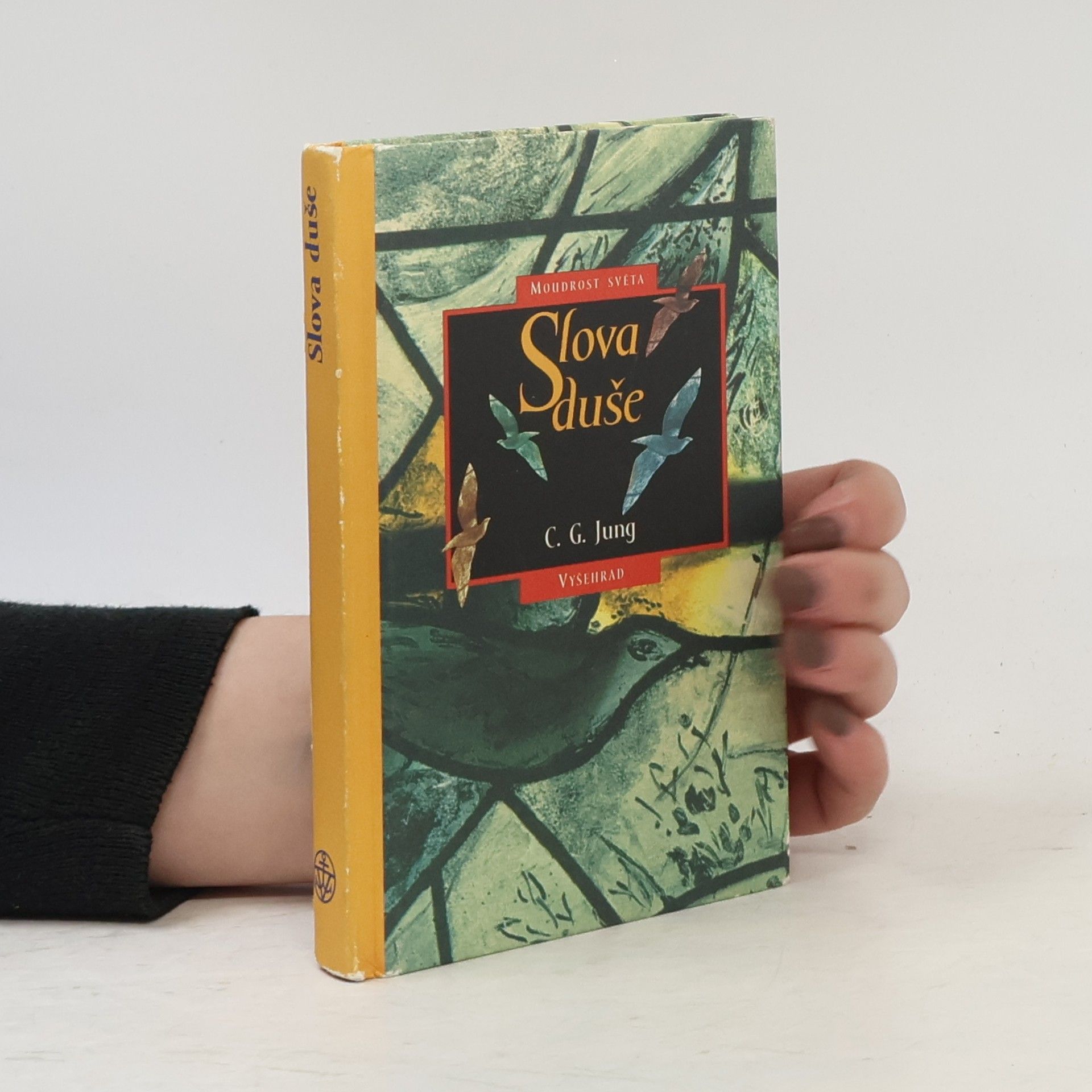 Carl Gustav Jung Slova duše