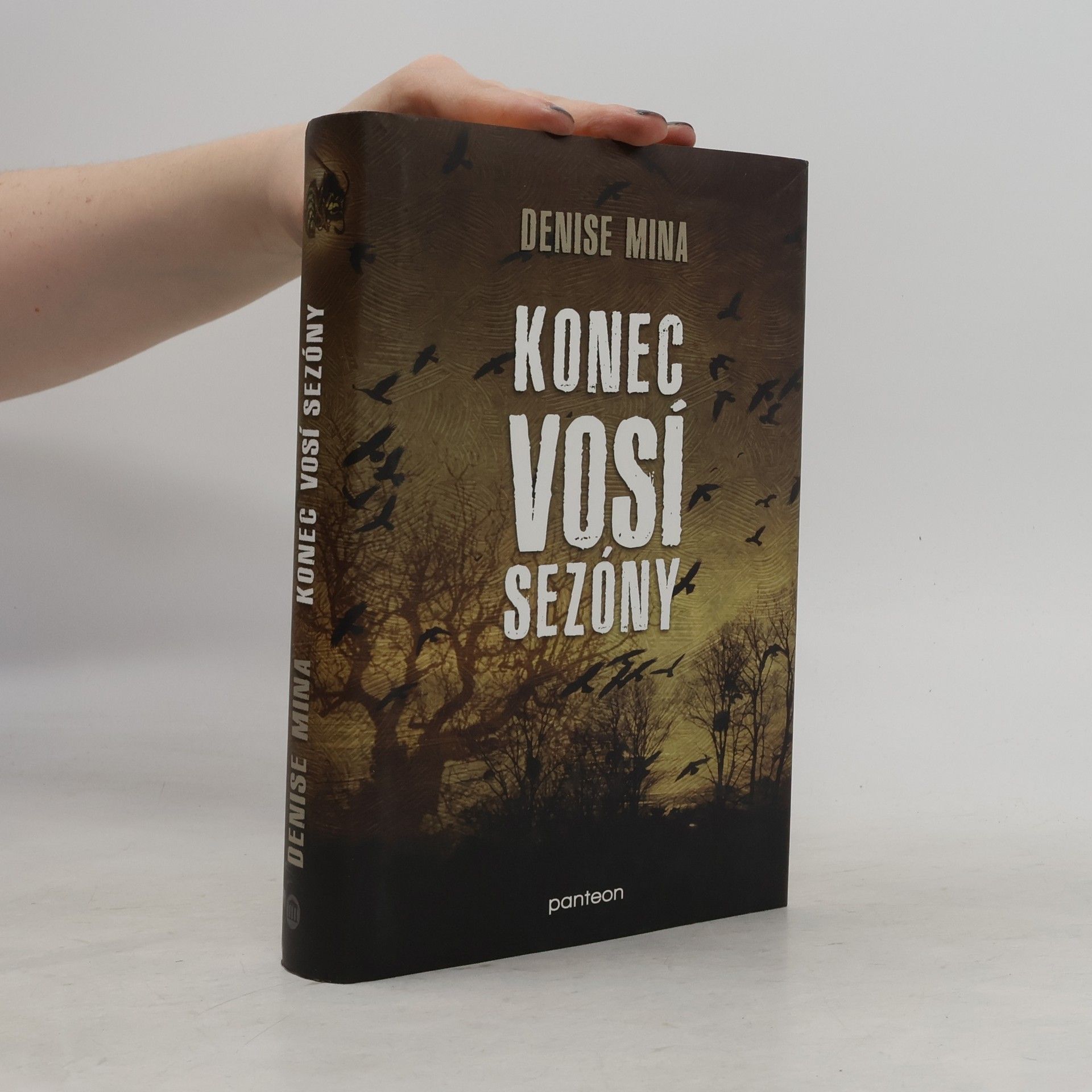Denise Mina Konec vosí sezóny