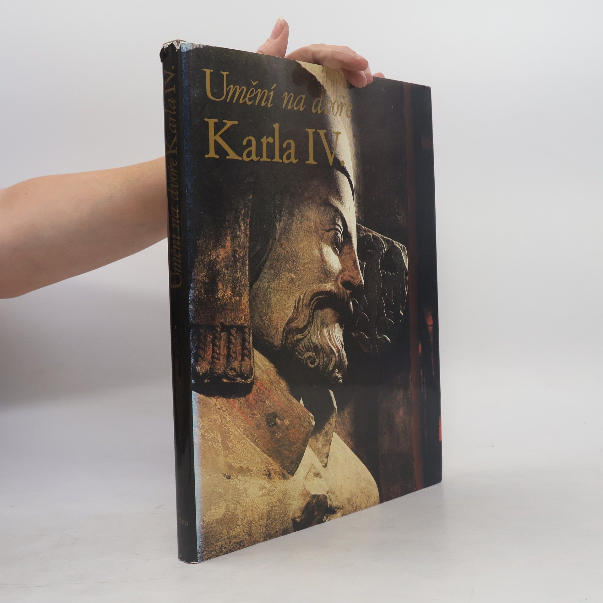 Karel Stejskal Umění na dvoře Karla IV.