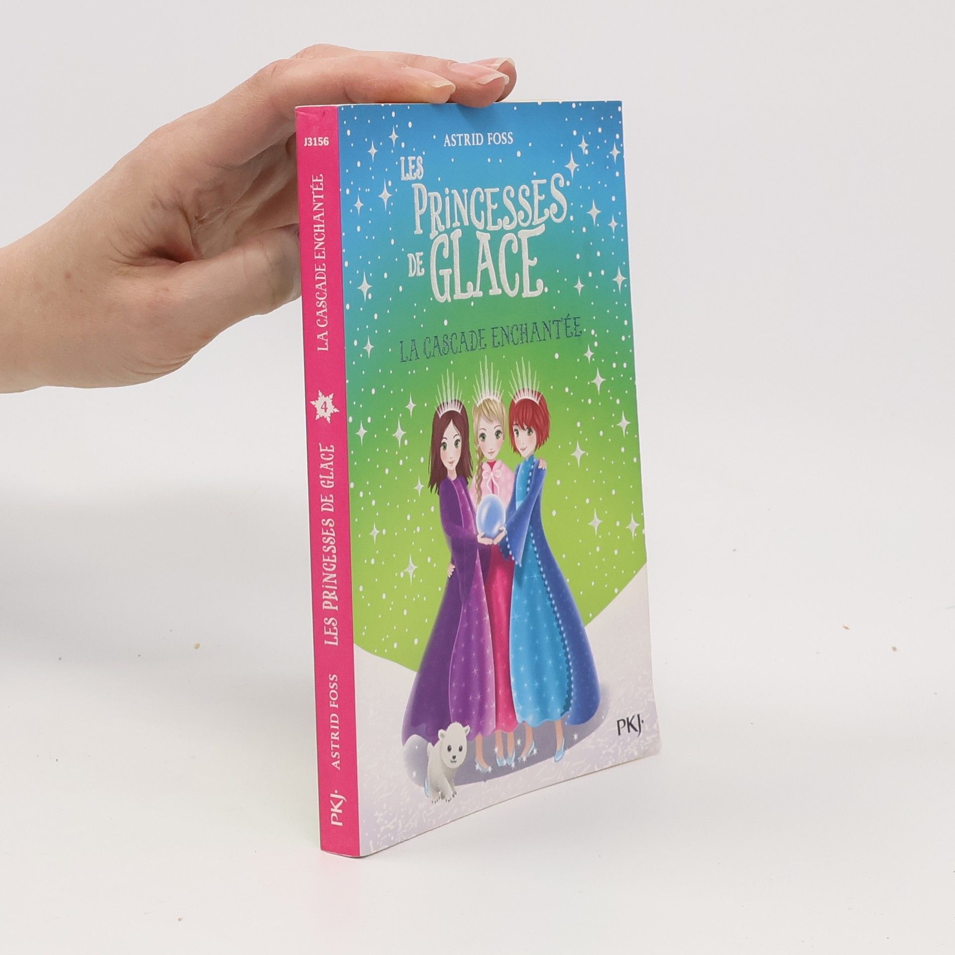Virginie Cantin Les Princesses de Glace - 4: La Cascade Enchantée