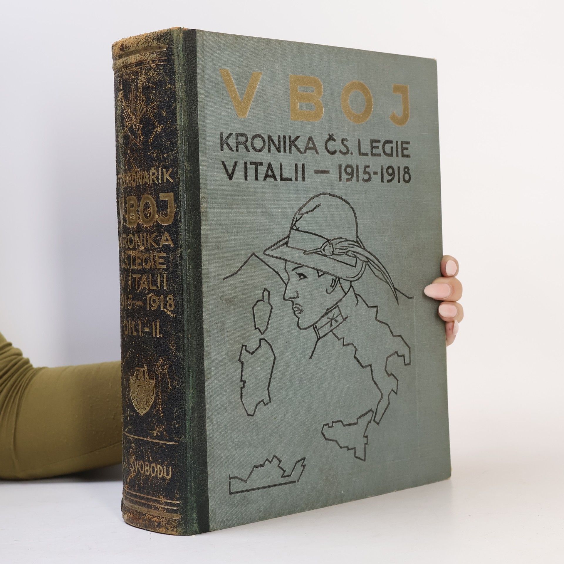 František Bednařík V Boj. Kronika ČS. Legie v Italii 1915-1918
