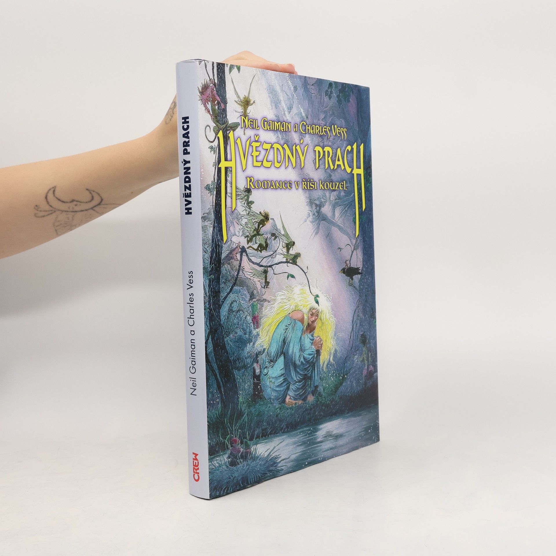 Neil Gaiman Hvězdný prach: romance v říši kouzel