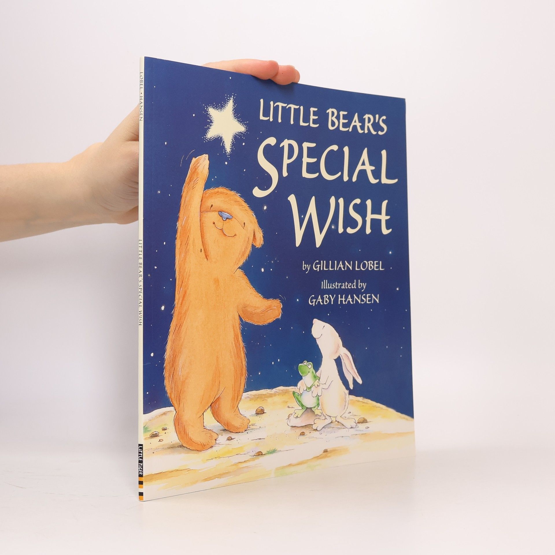 Gillian Lobel Little Bear´s Special Wisch