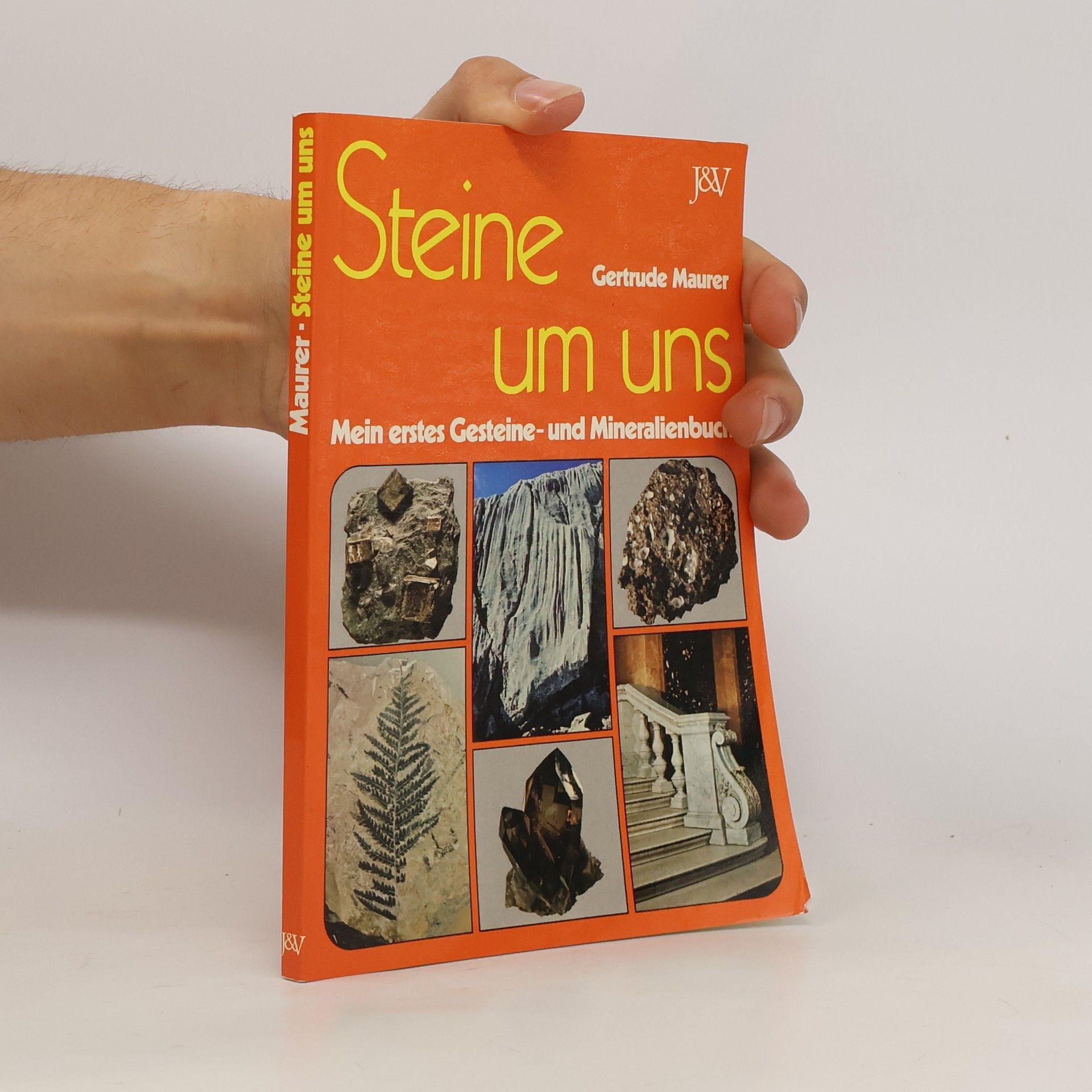 Gertrude Maurer Steine um uns
