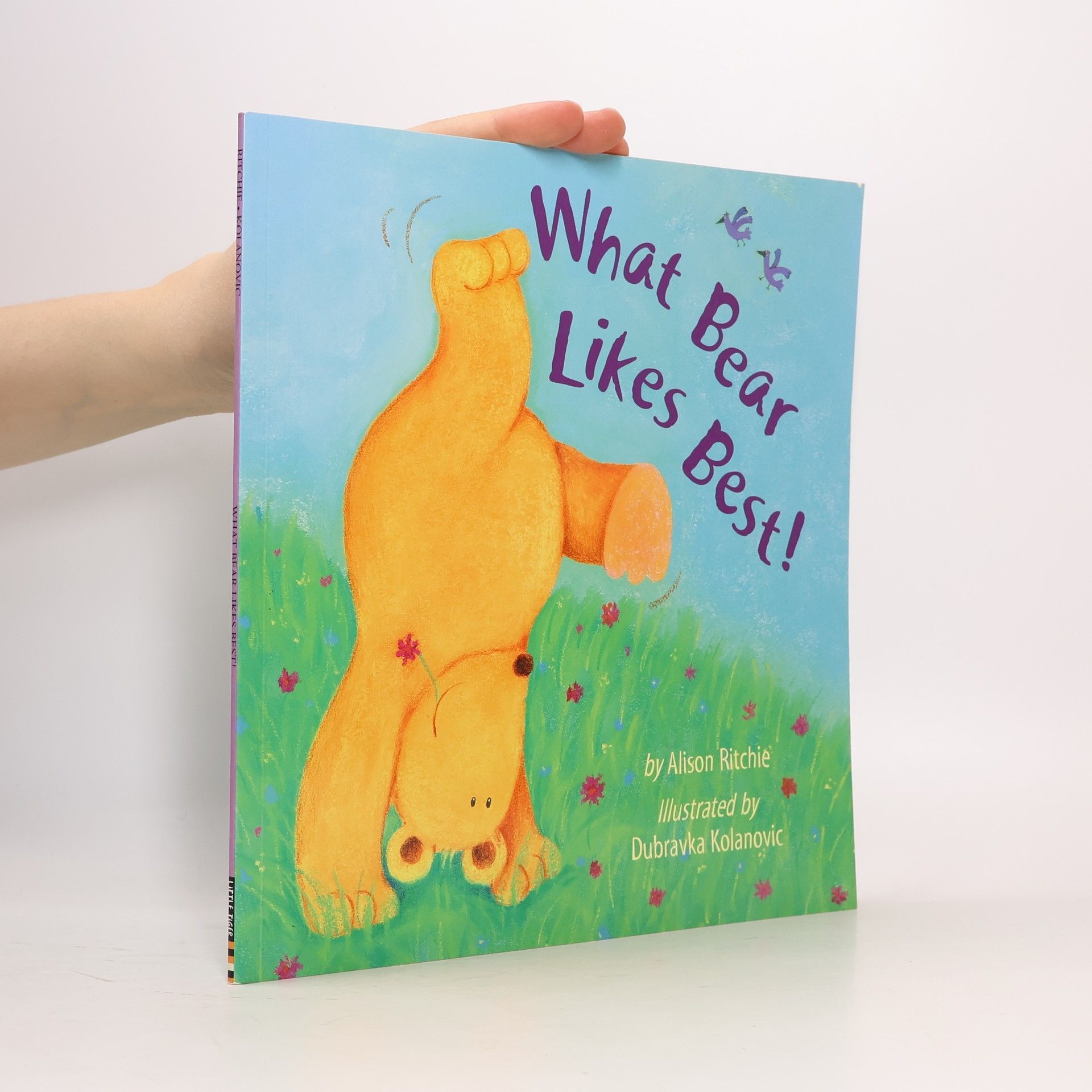 Alison Ritchie What Bear Likes Best!