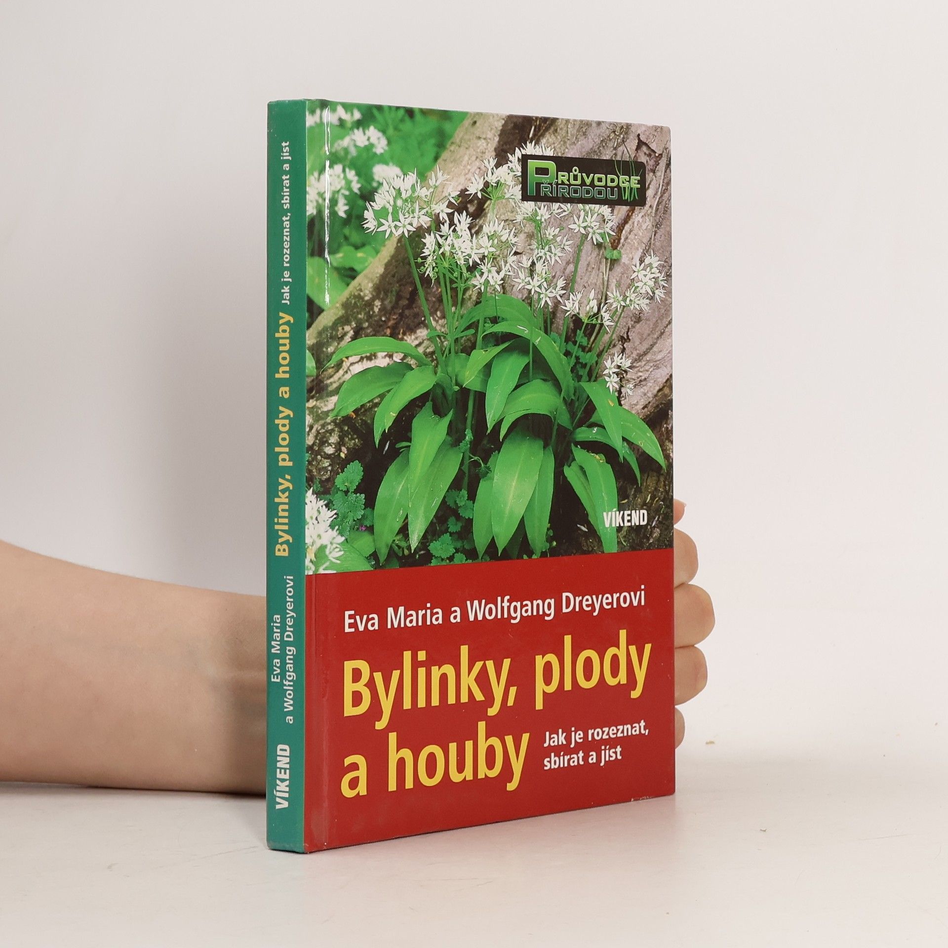 Bylinky, plody a houby. Jak je rozeznat, sbírat a jíst
