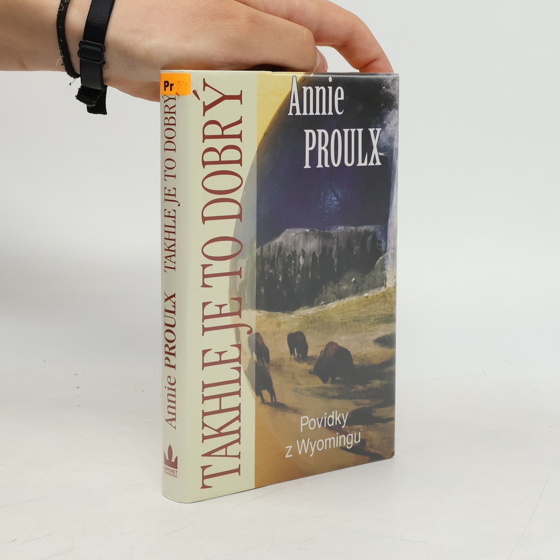 Annie Proulx Takhle je to dobrý