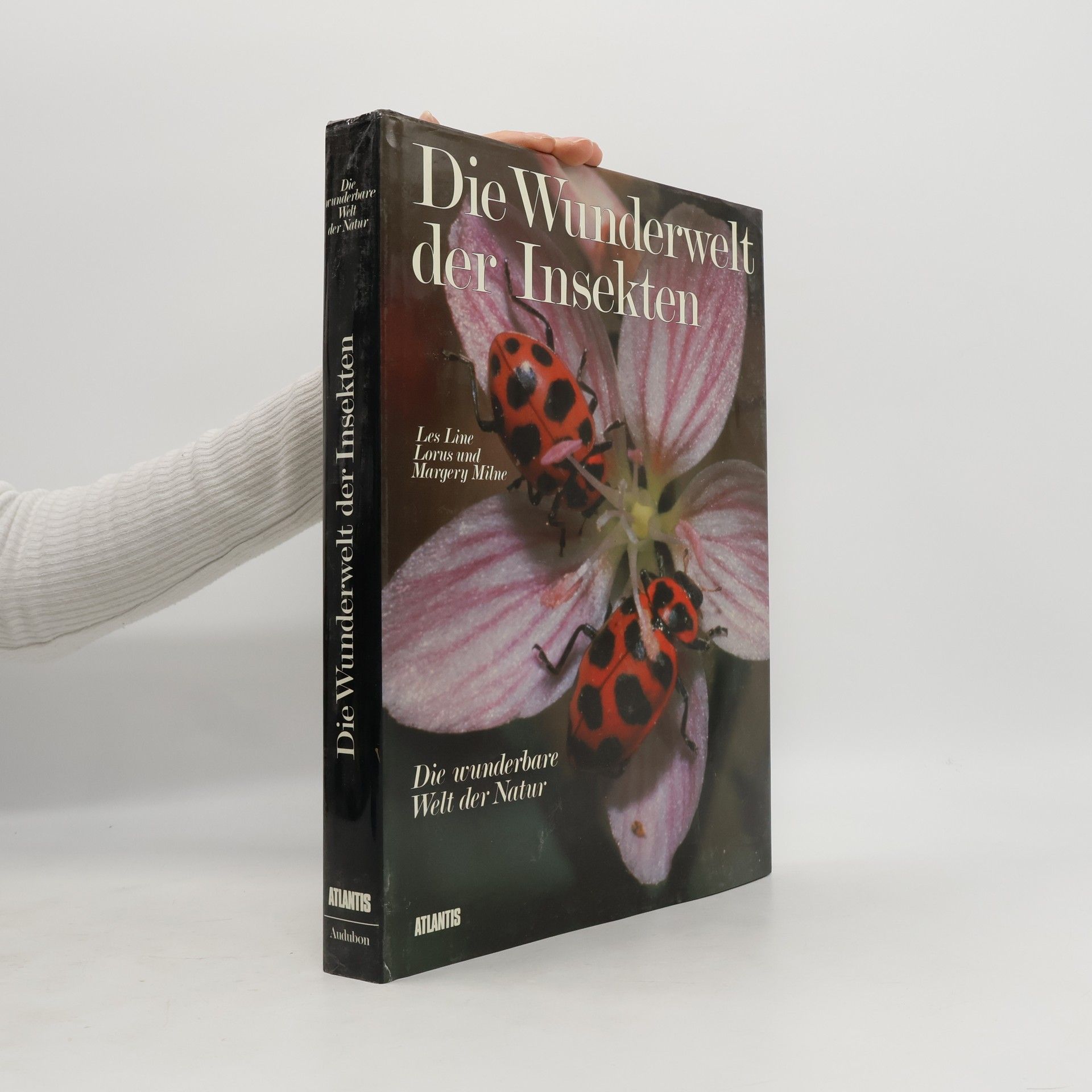 Margery Milne Die Wunderwelt der Insekten