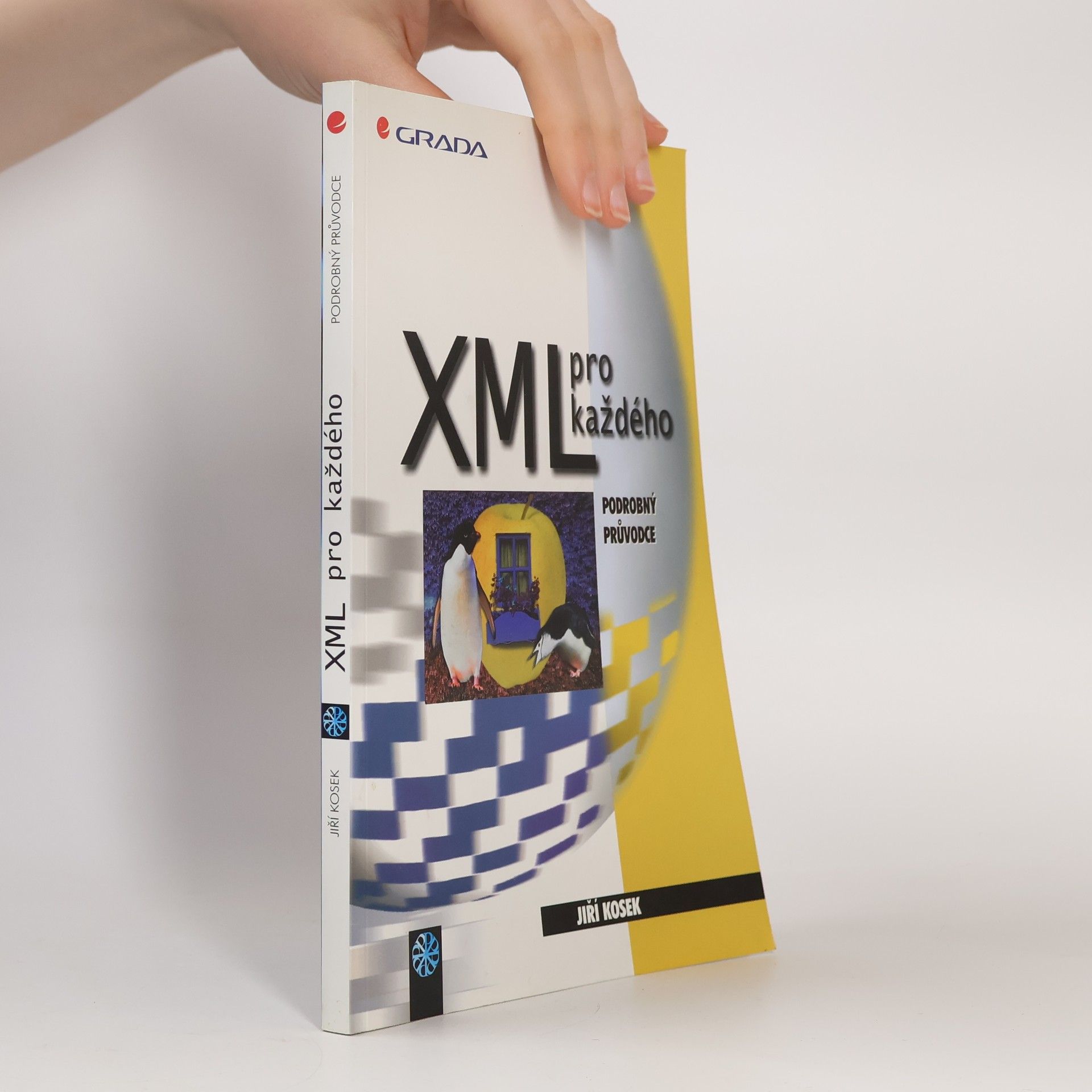 Jiří Kosek XML pro každého: Podrobný průvodce
