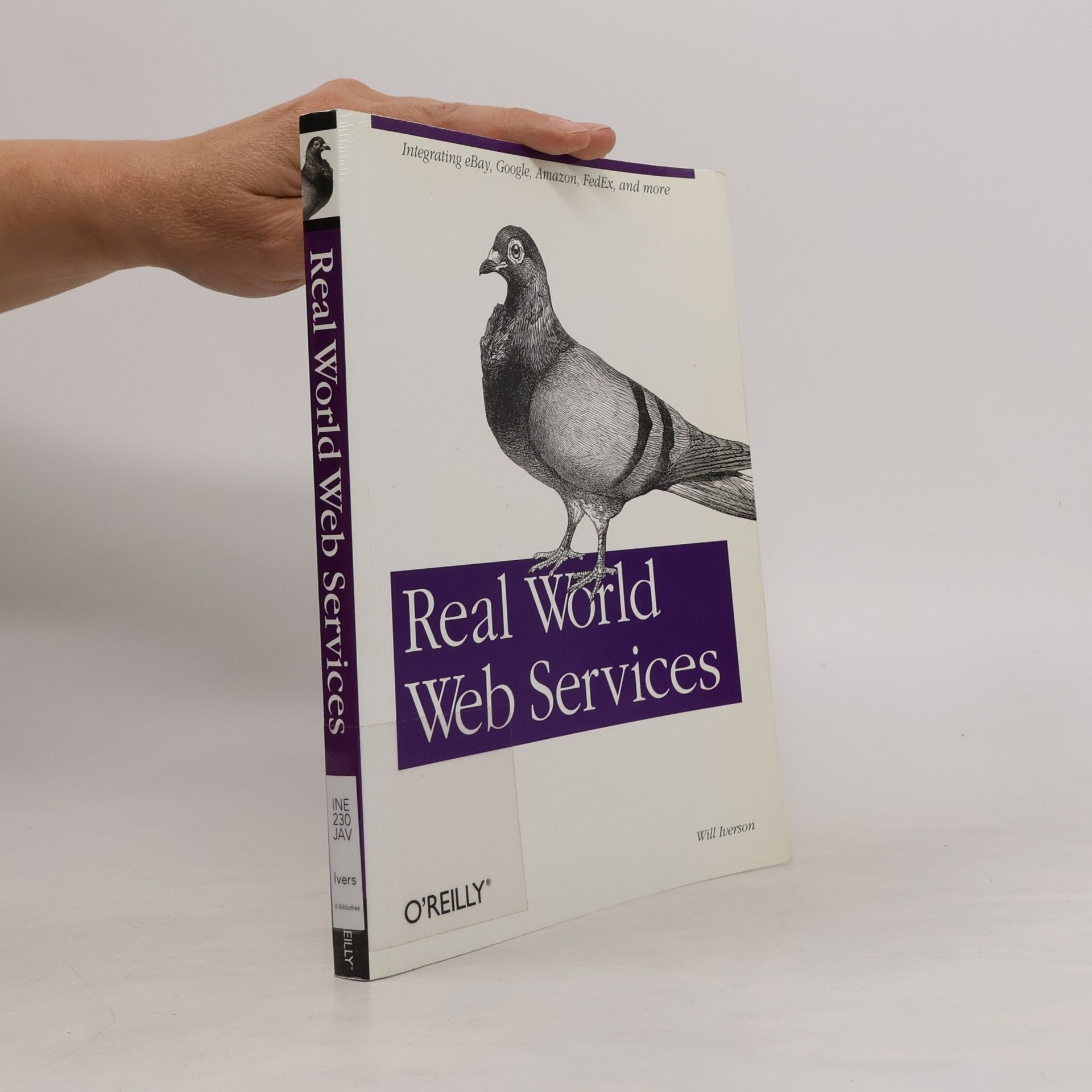 Will Iverson Real world web services