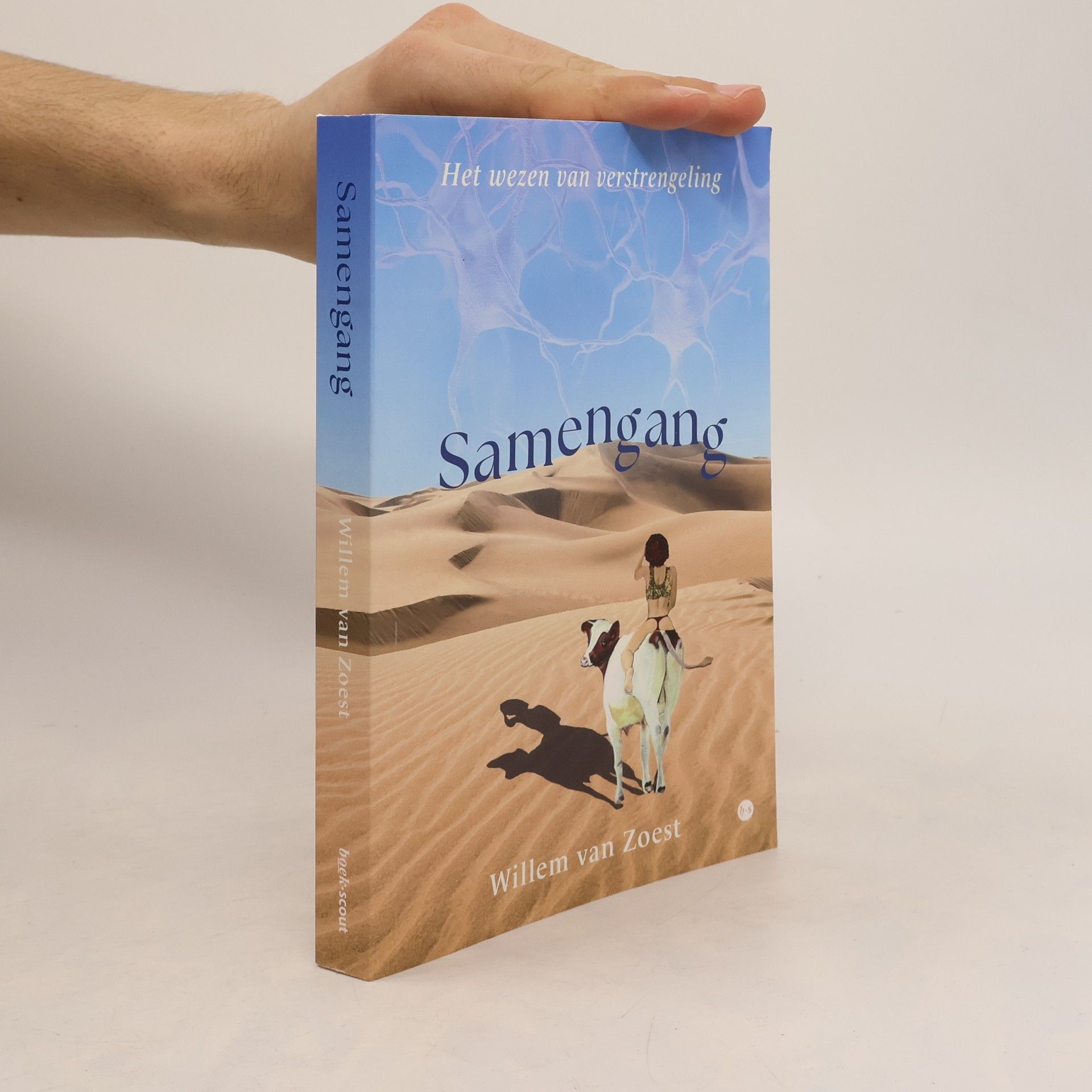 Willem van Zoest Samengang: Het wezen van verstrengeling