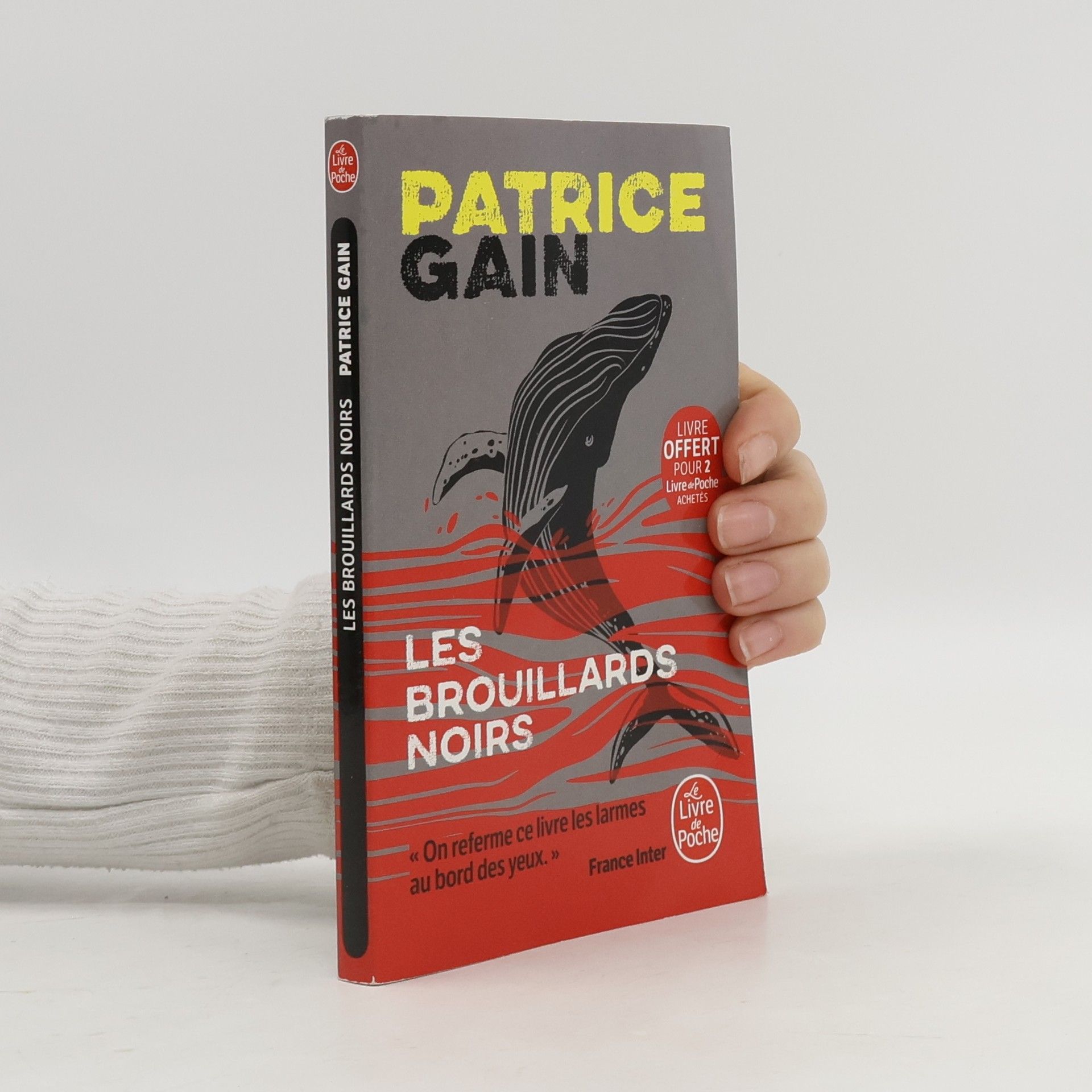 Patrice Gaines Les Brouillards Noirs