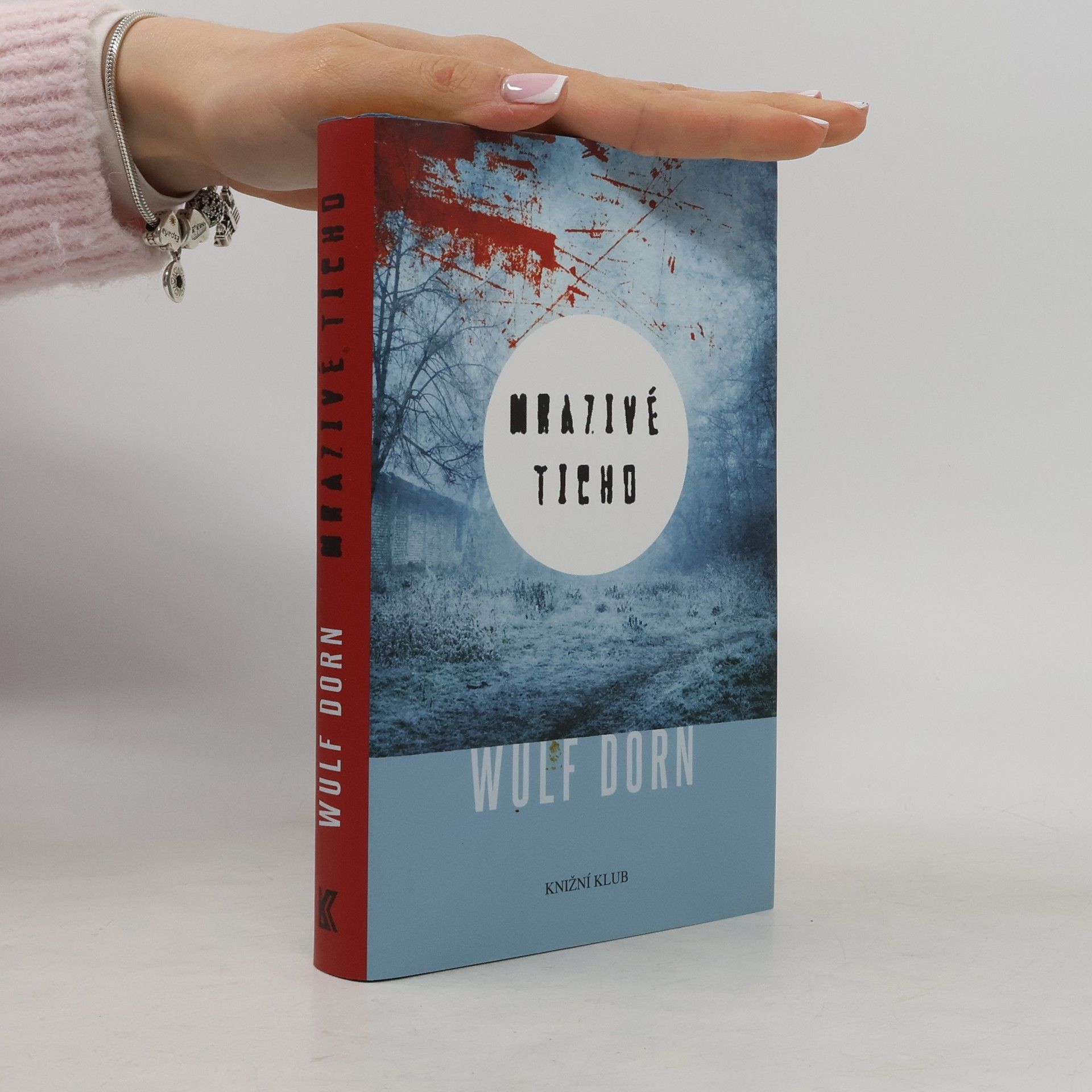Wulf Dorn Mrazivé ticho