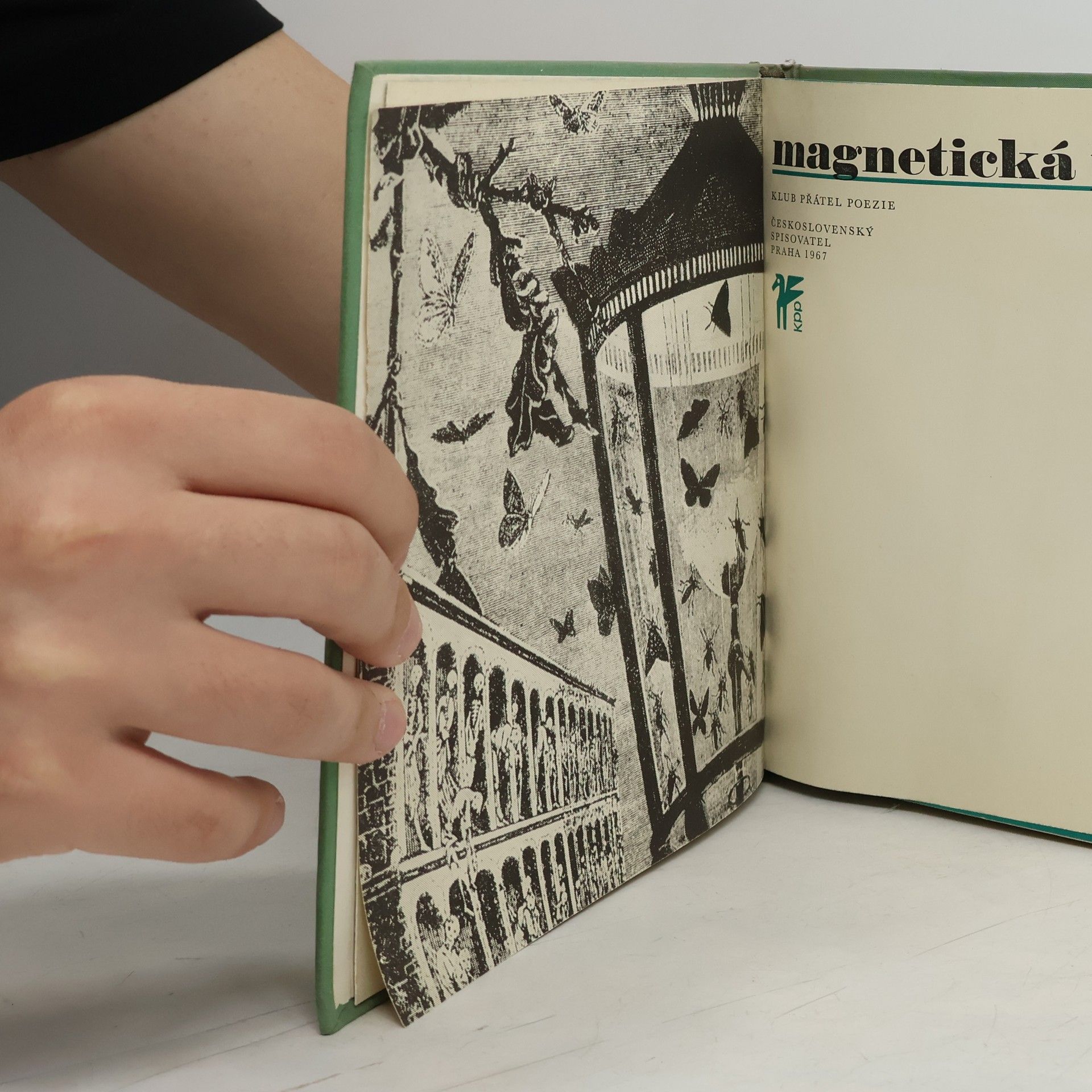 Autores varios Magnetická pole
