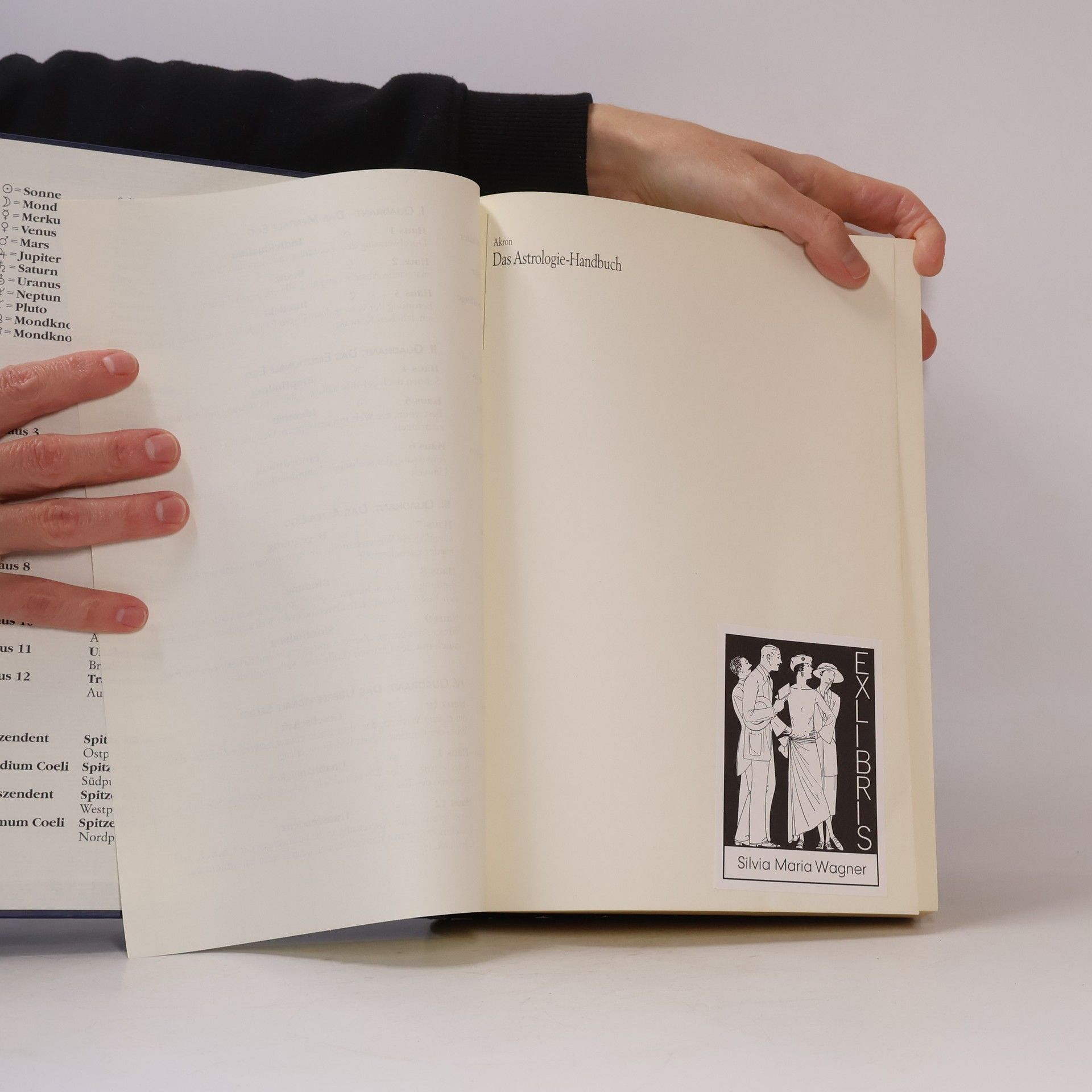 Akron Das Astrologie-Handbuch