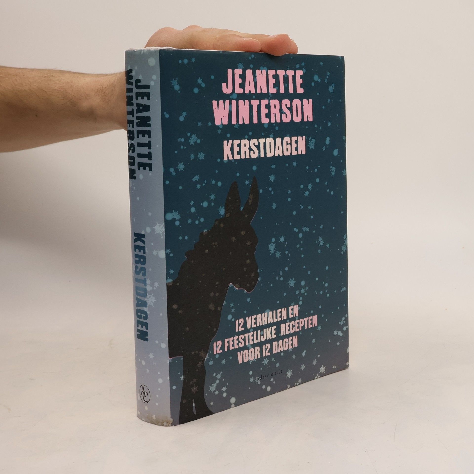 Jeanette Winterson Kerstdagen