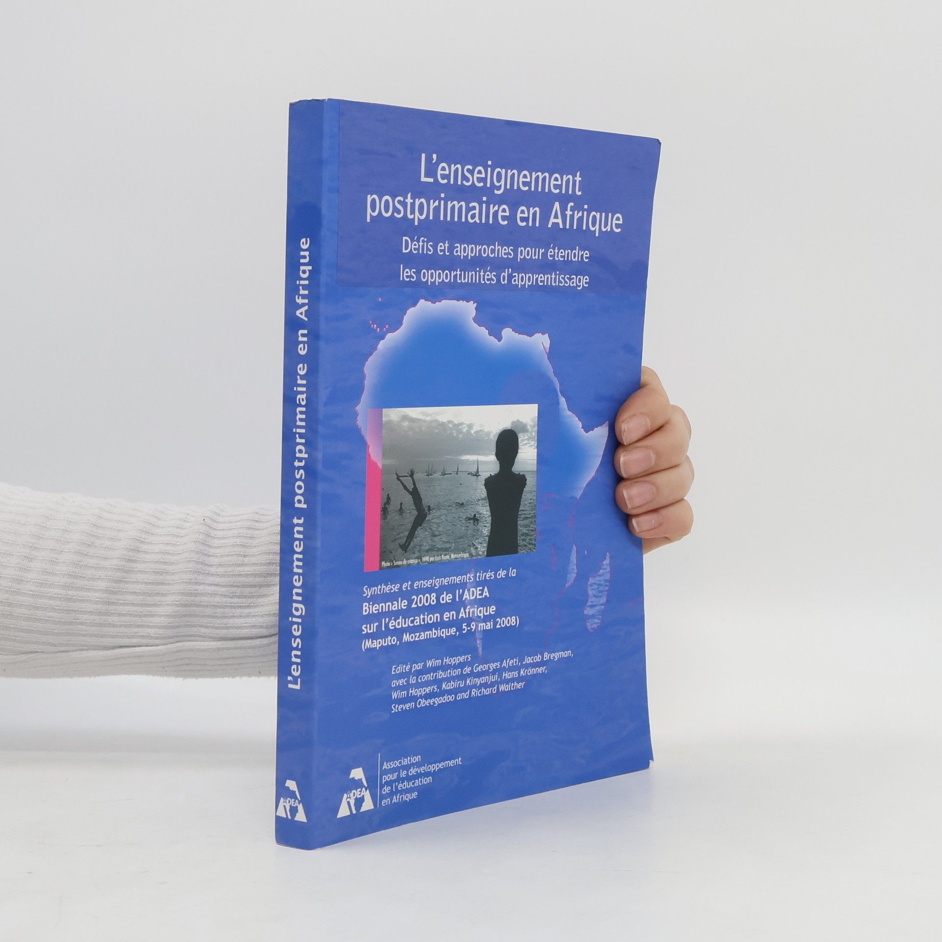 Kolektiv autorů L'enseignement post primaire en Afrique