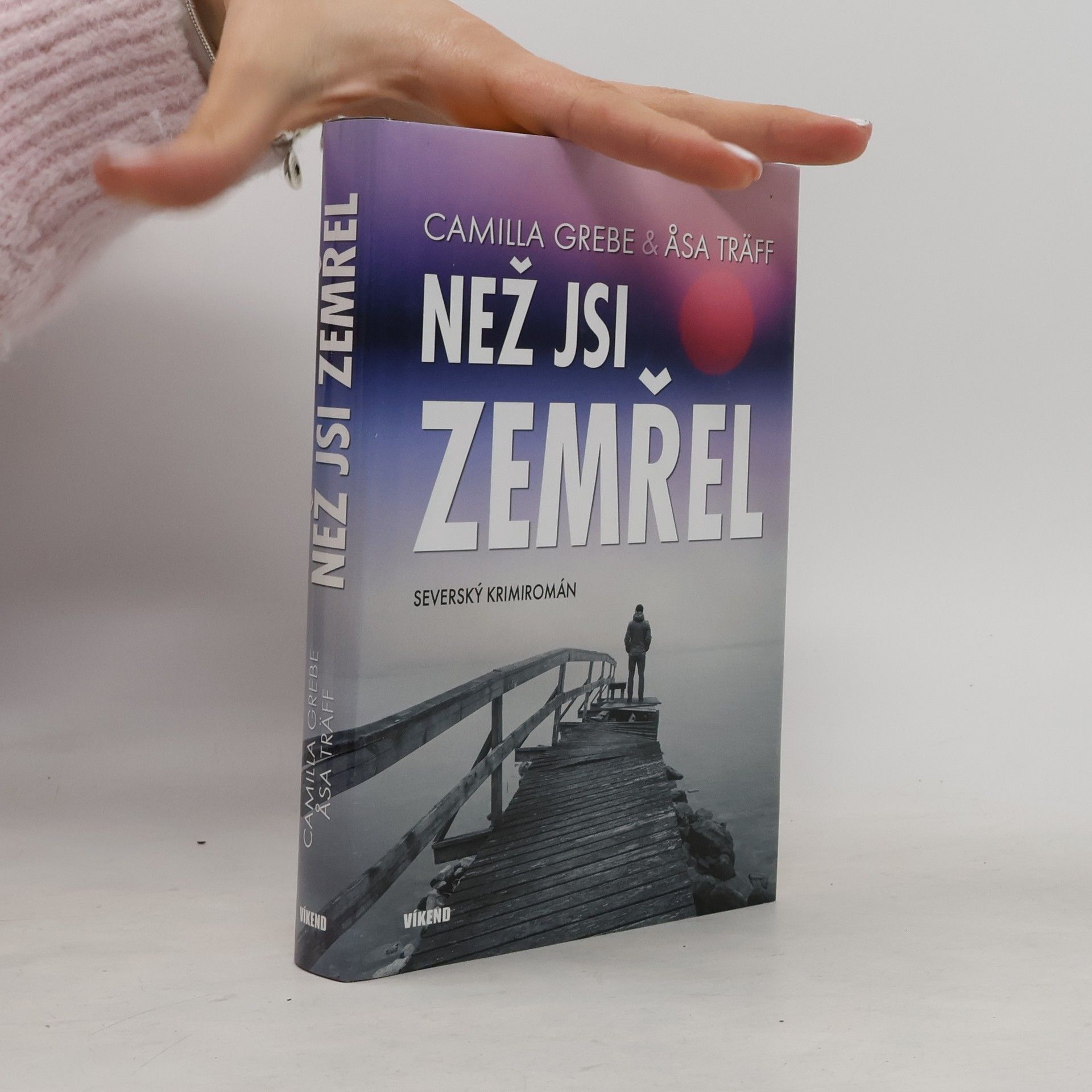 Camilla Grebe Než jsi zemřel