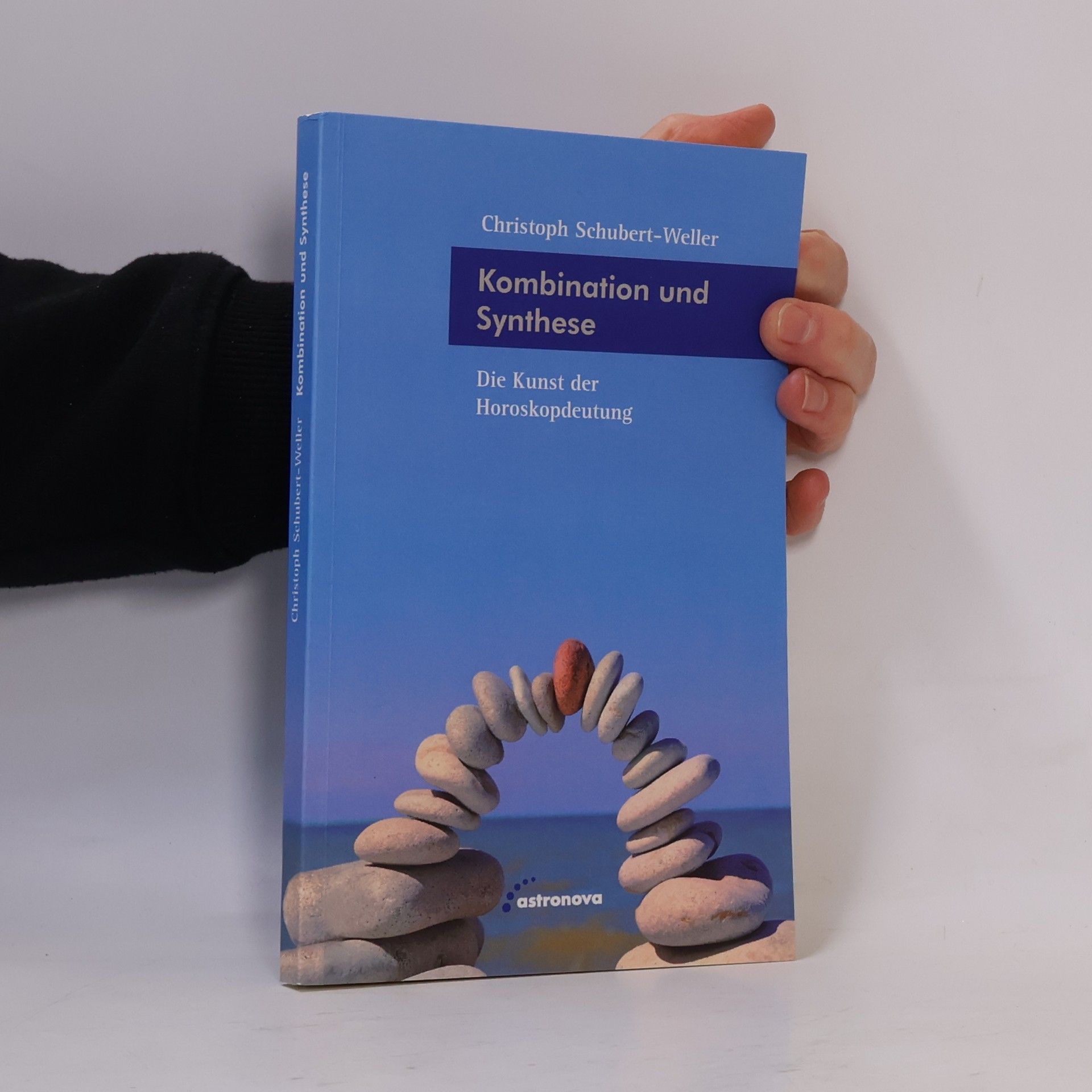 Christoph Schubert-Weller Kombination und Synthese